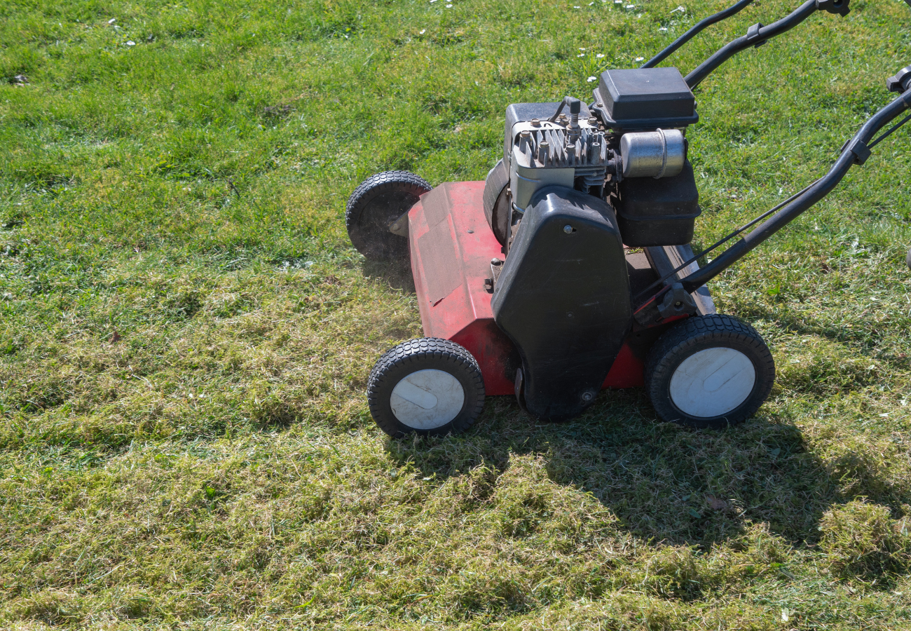 Spring Lawn Clean-Up: The First Step to a Healthy Season