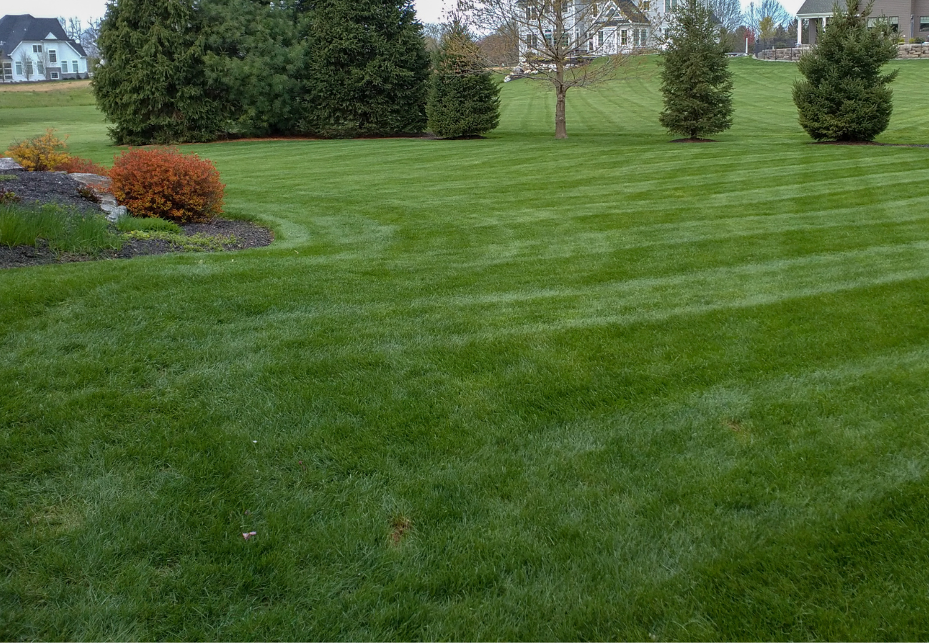 Why Weekly Lawn Cutting Makes All the Difference