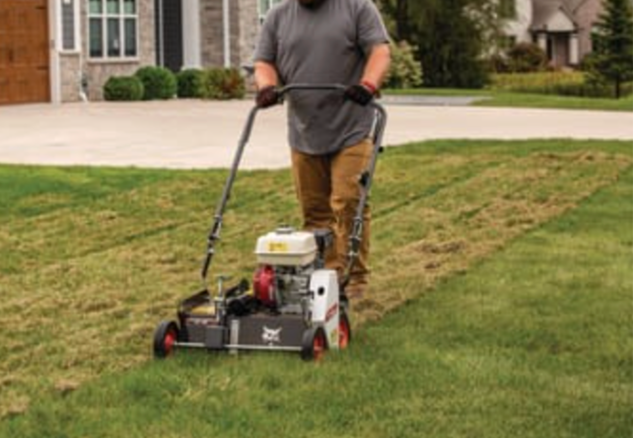 Power Raking and Dethatching: The Best Spring Boost for Your Lawn
