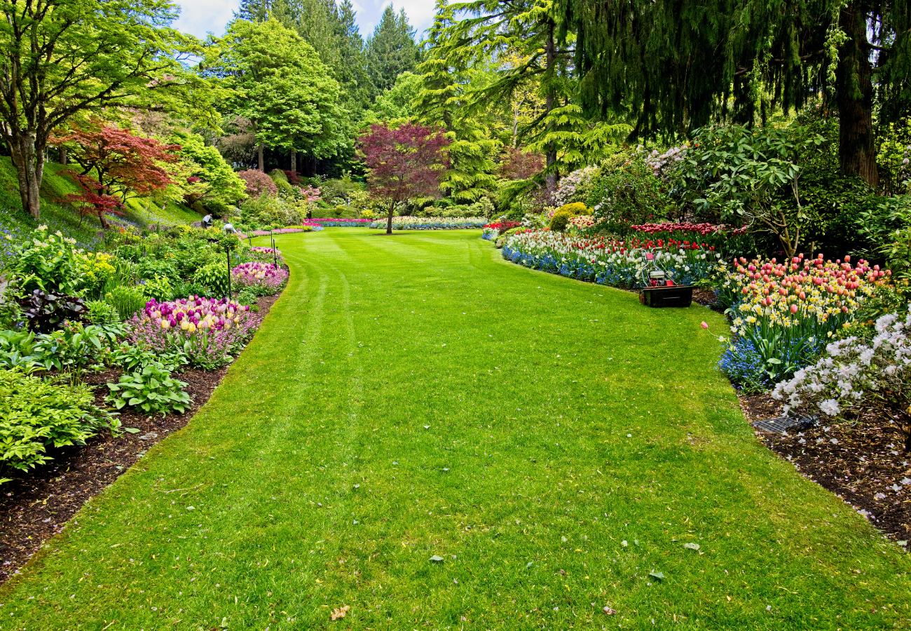 How to Keep Edges, Beds, and Borders Looking Sharp