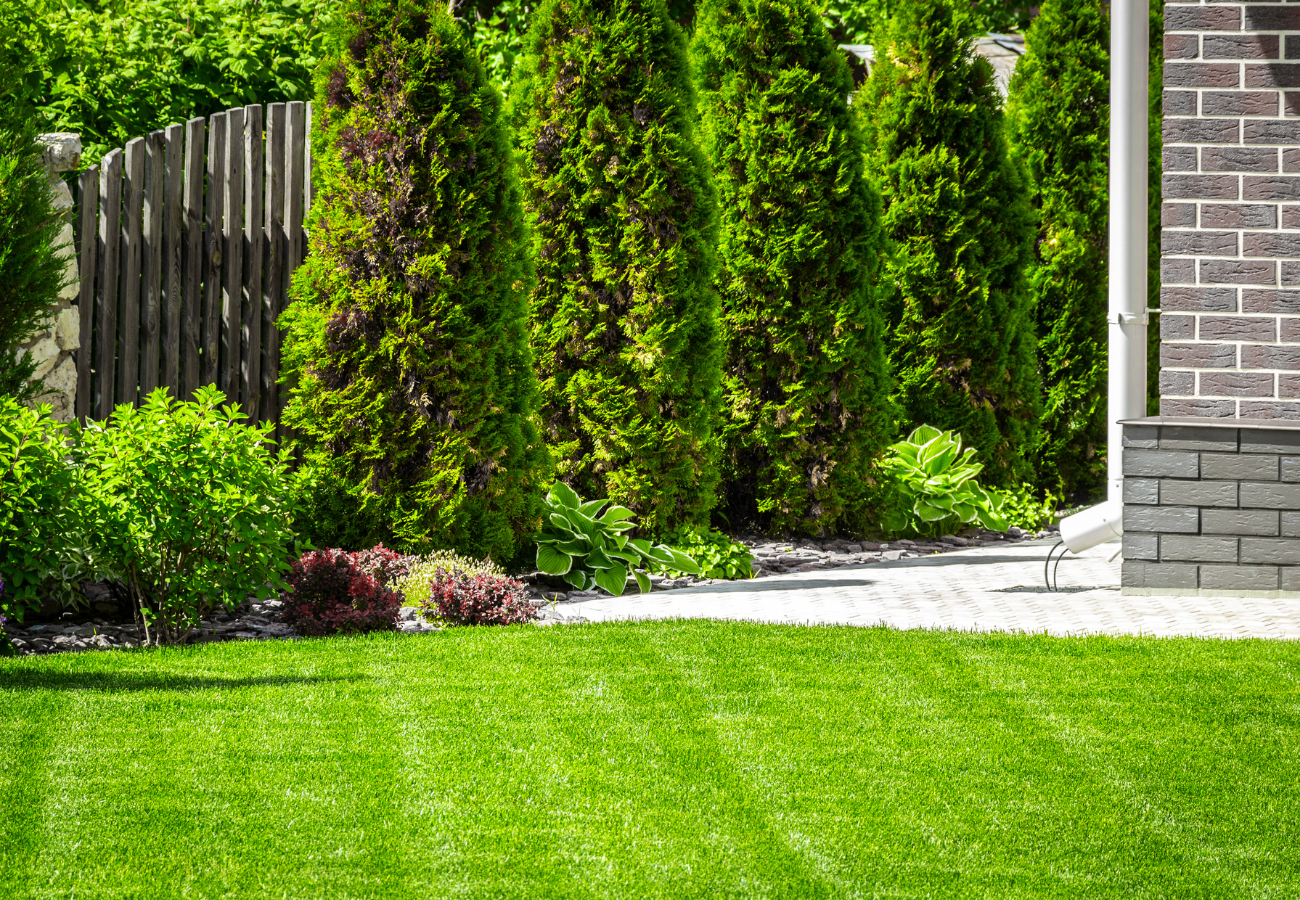 How Professional Lawn Cutting Saves You Time Every Week