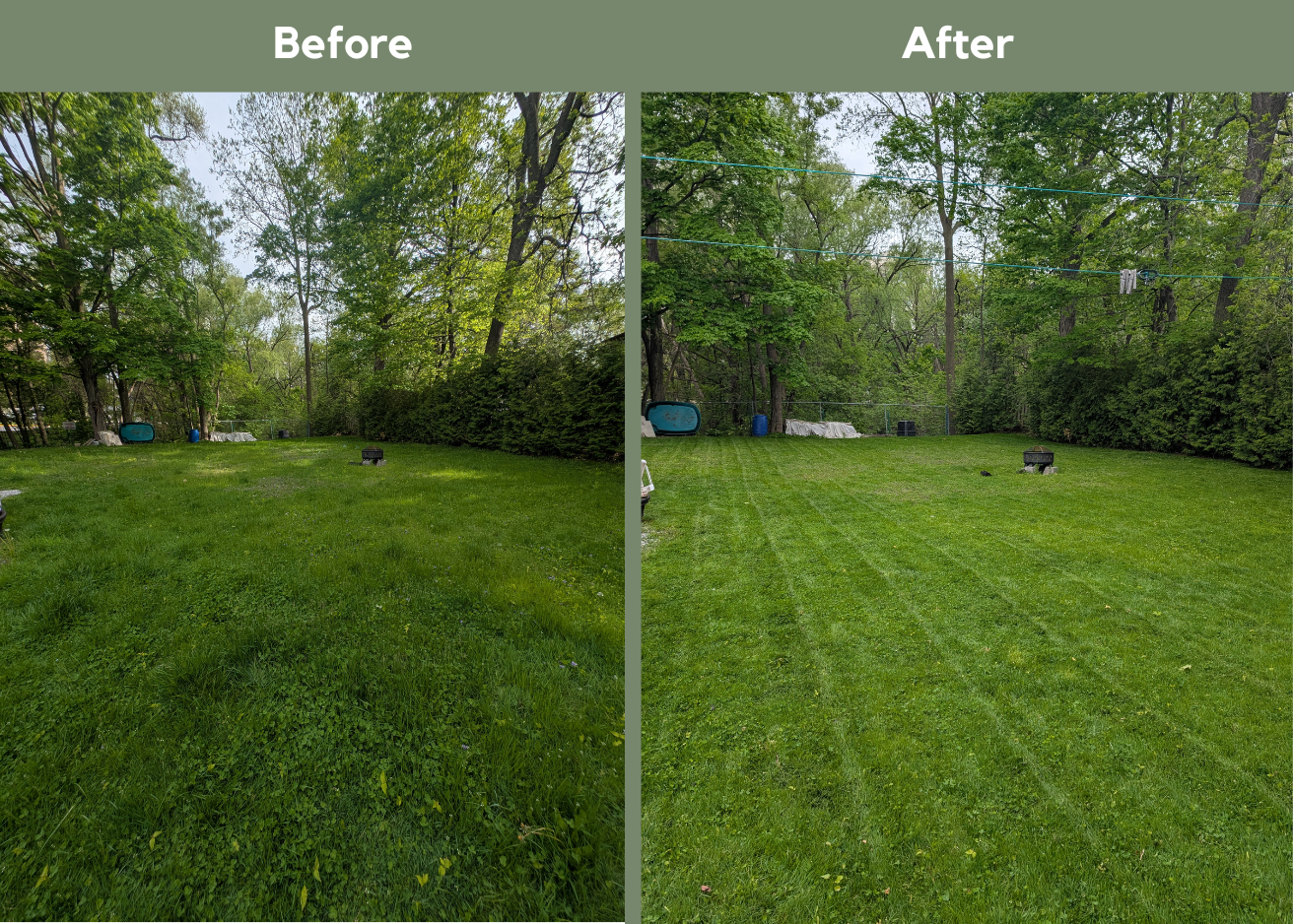 Mid-Spring Lawn Care: Is Your Grass Ready for Summer?