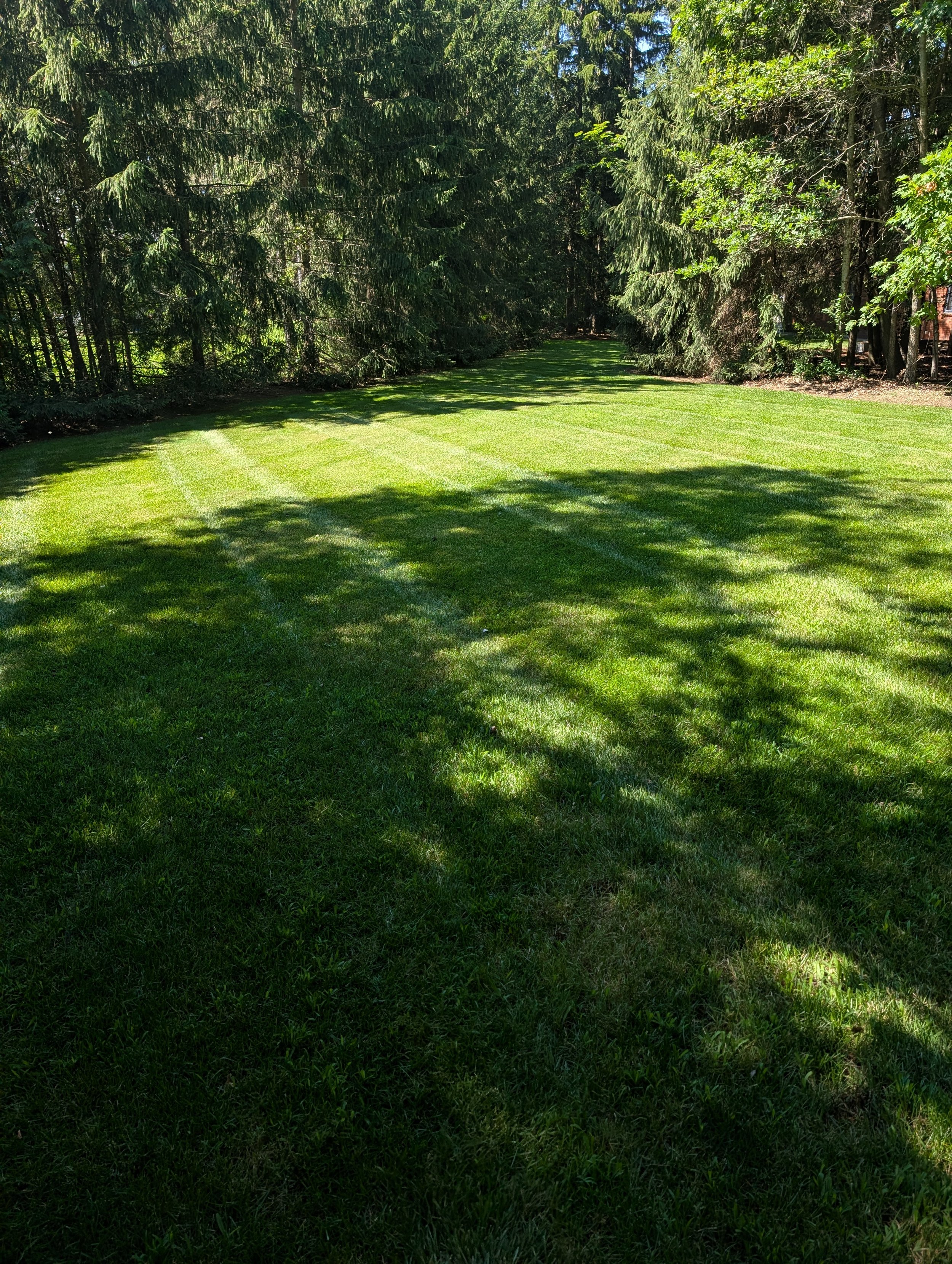 Residential Lawn Mowing in Newmarket for a Neater Yard