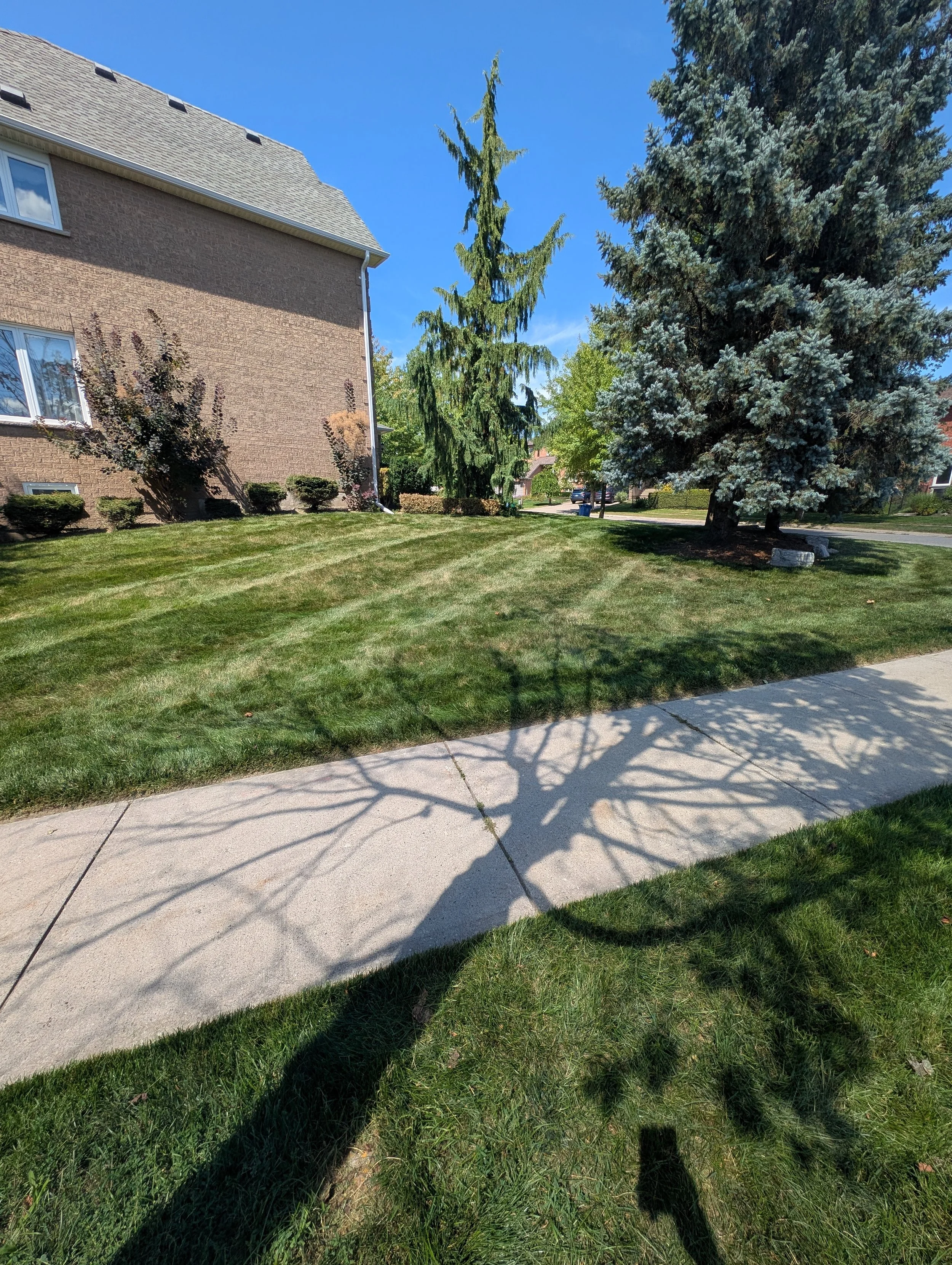 Why Clean Lawn Edges Make Your Property Look Better