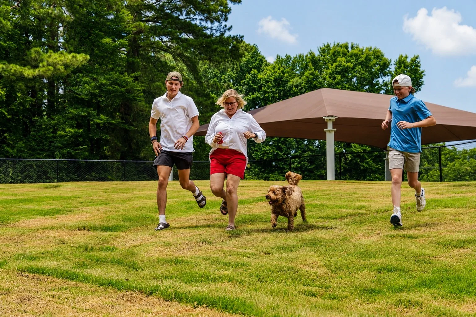Dog Park