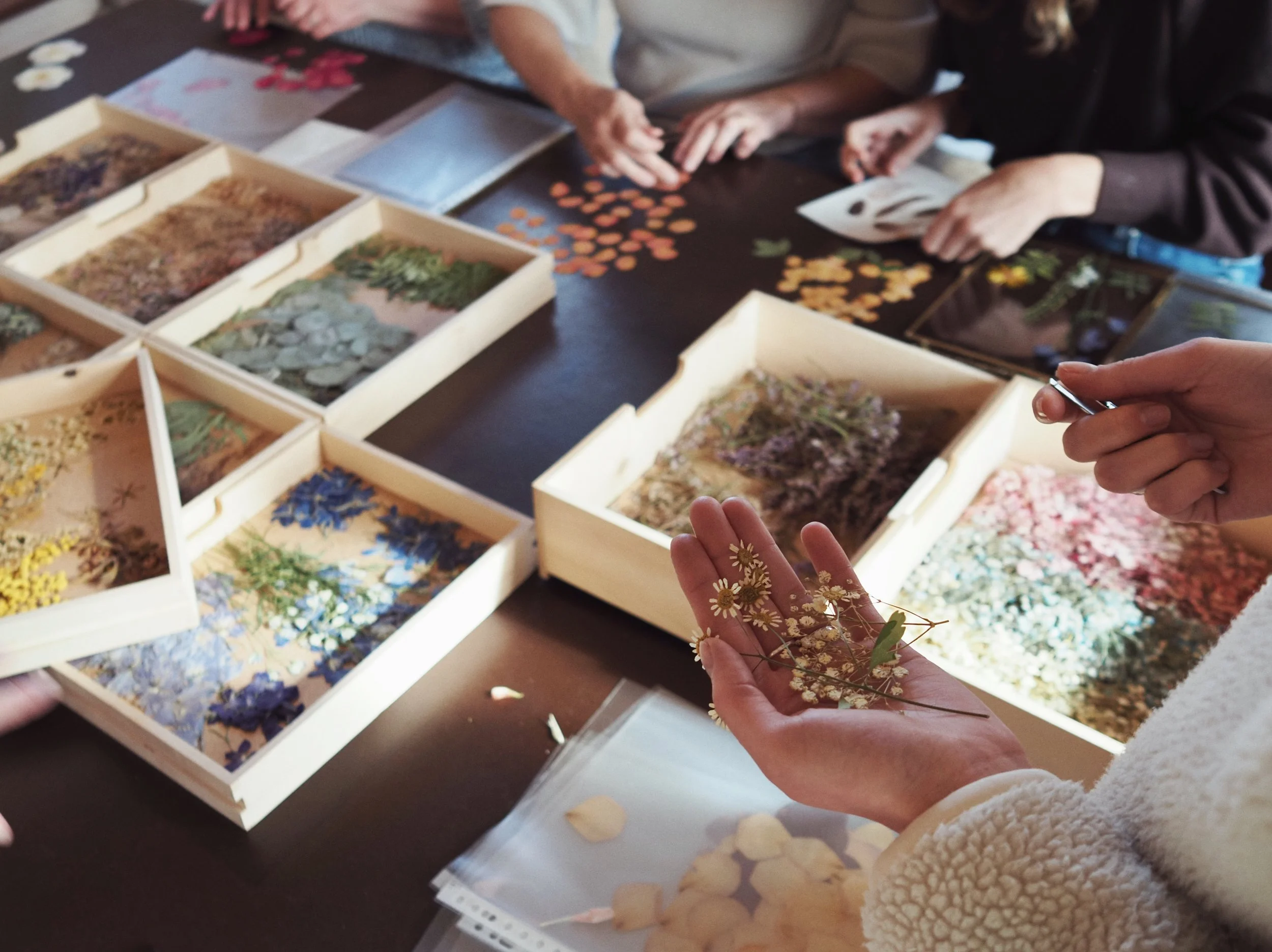 Ochtendworkshop bloemencreatie maken in het wolatelier van Belevenisboerderij Schieveen