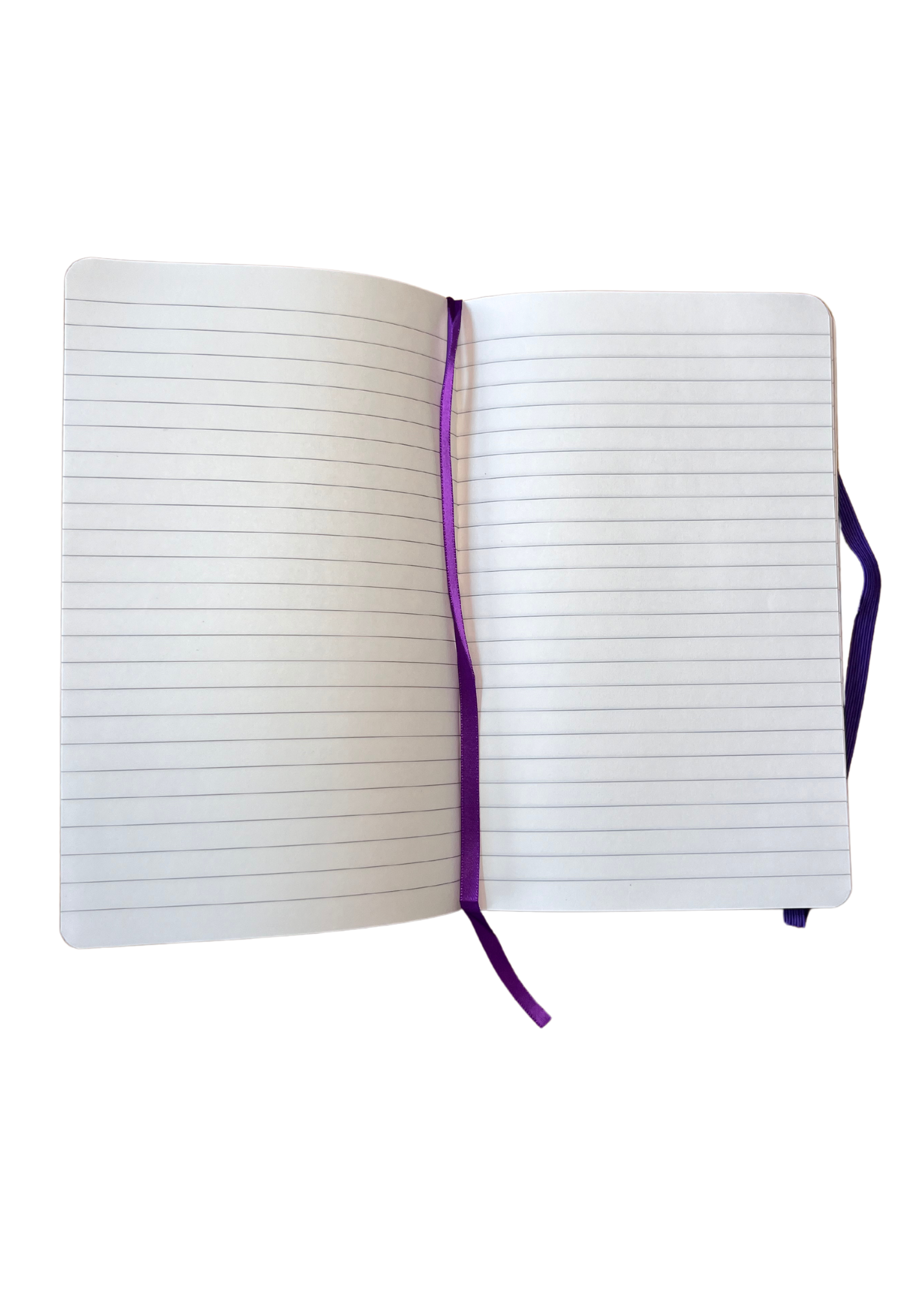 Photo 3.png