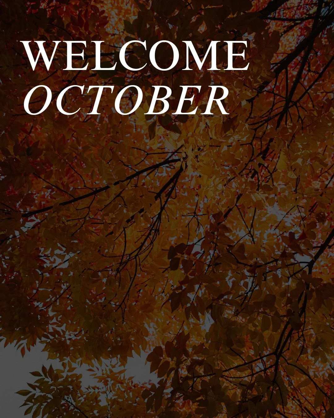 Welcome October 🍂
This month starts with a HaloSauna upgrade!

Starting this month  you can schedule what you need:

💨Breathe : Halotherapy
💦Detox : Infrared Sauna
🔥Breathe &amp; Detox : both together

No matter what you choose, every session now
