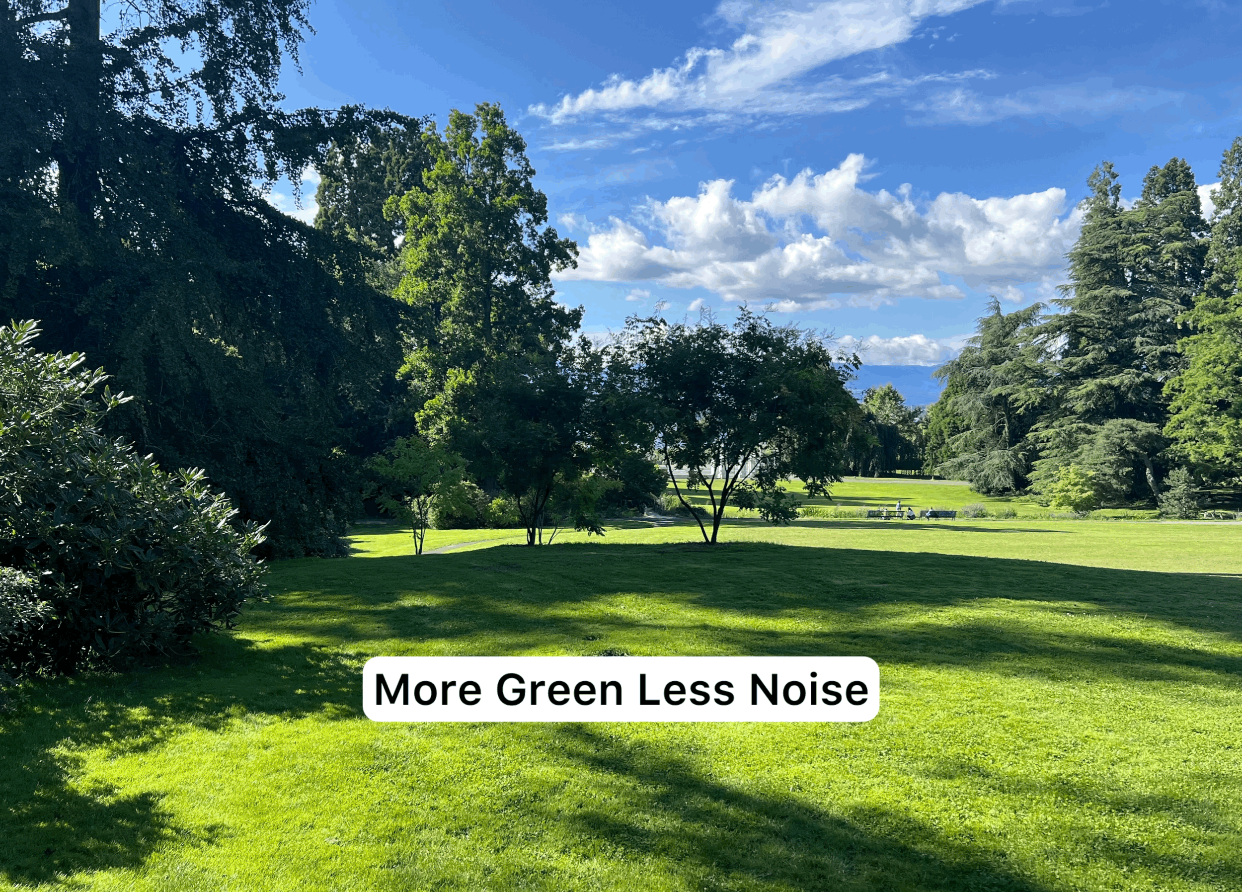 Finding Clarity Outside The Noise