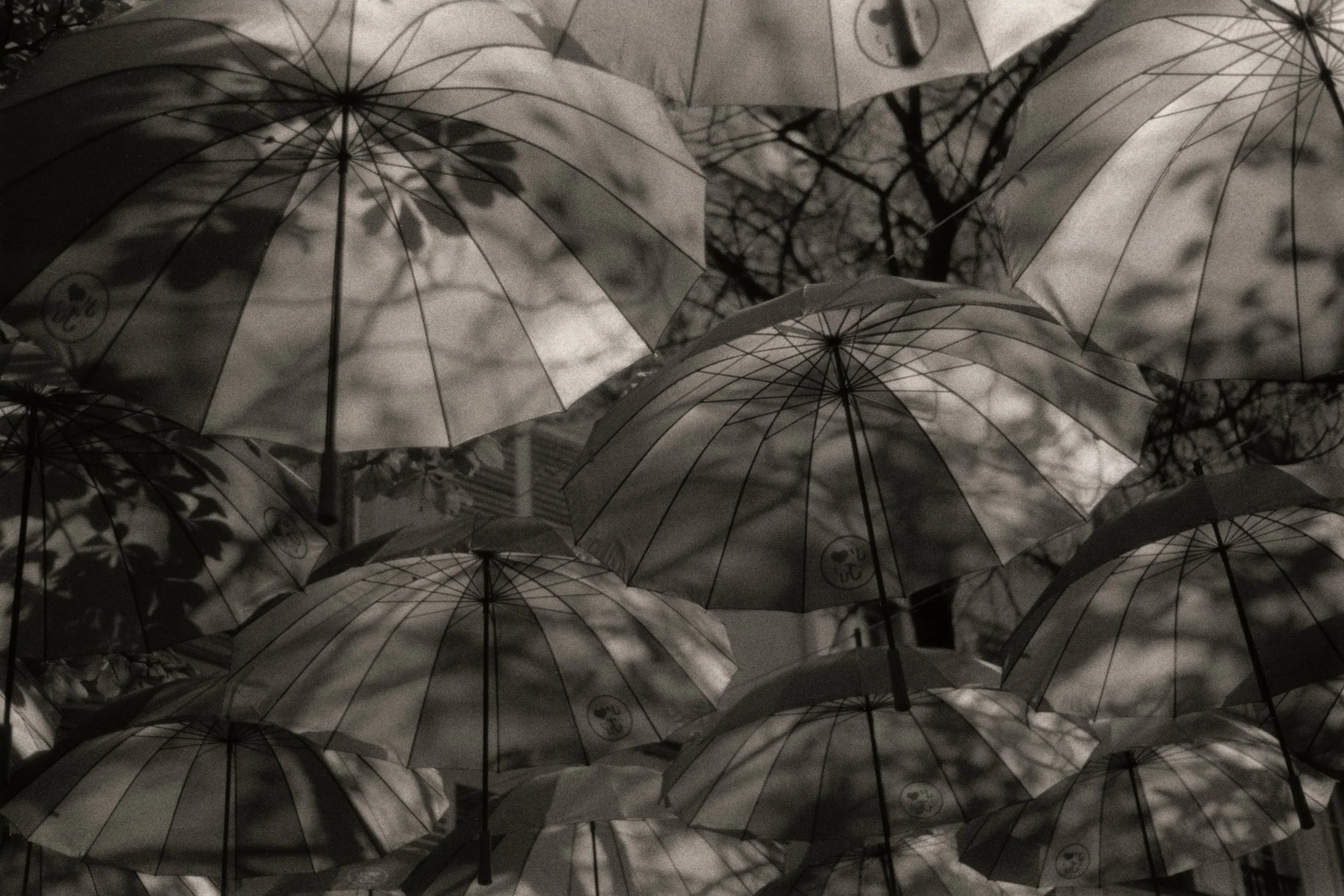 Black & White