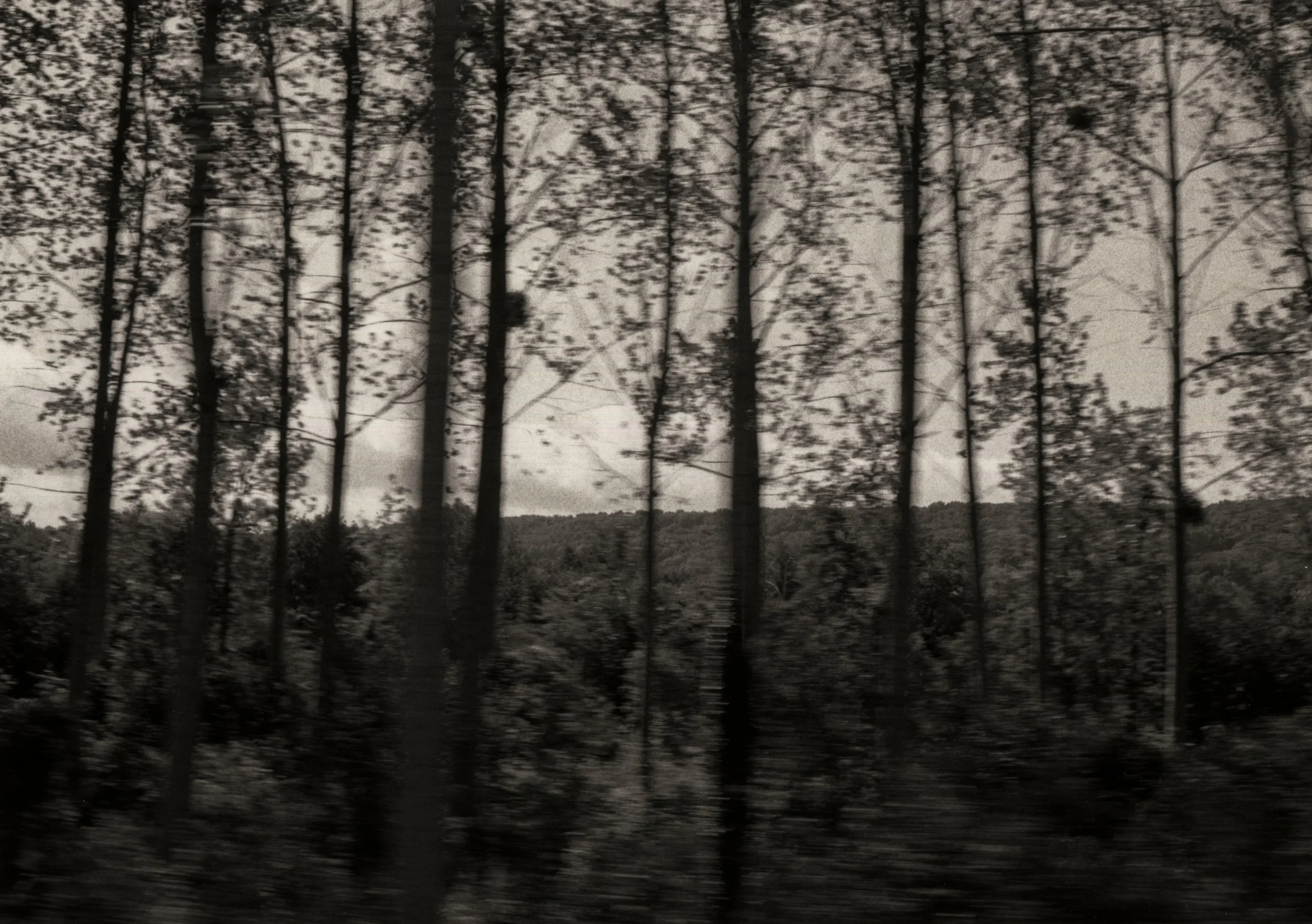 B&W-17.jpg