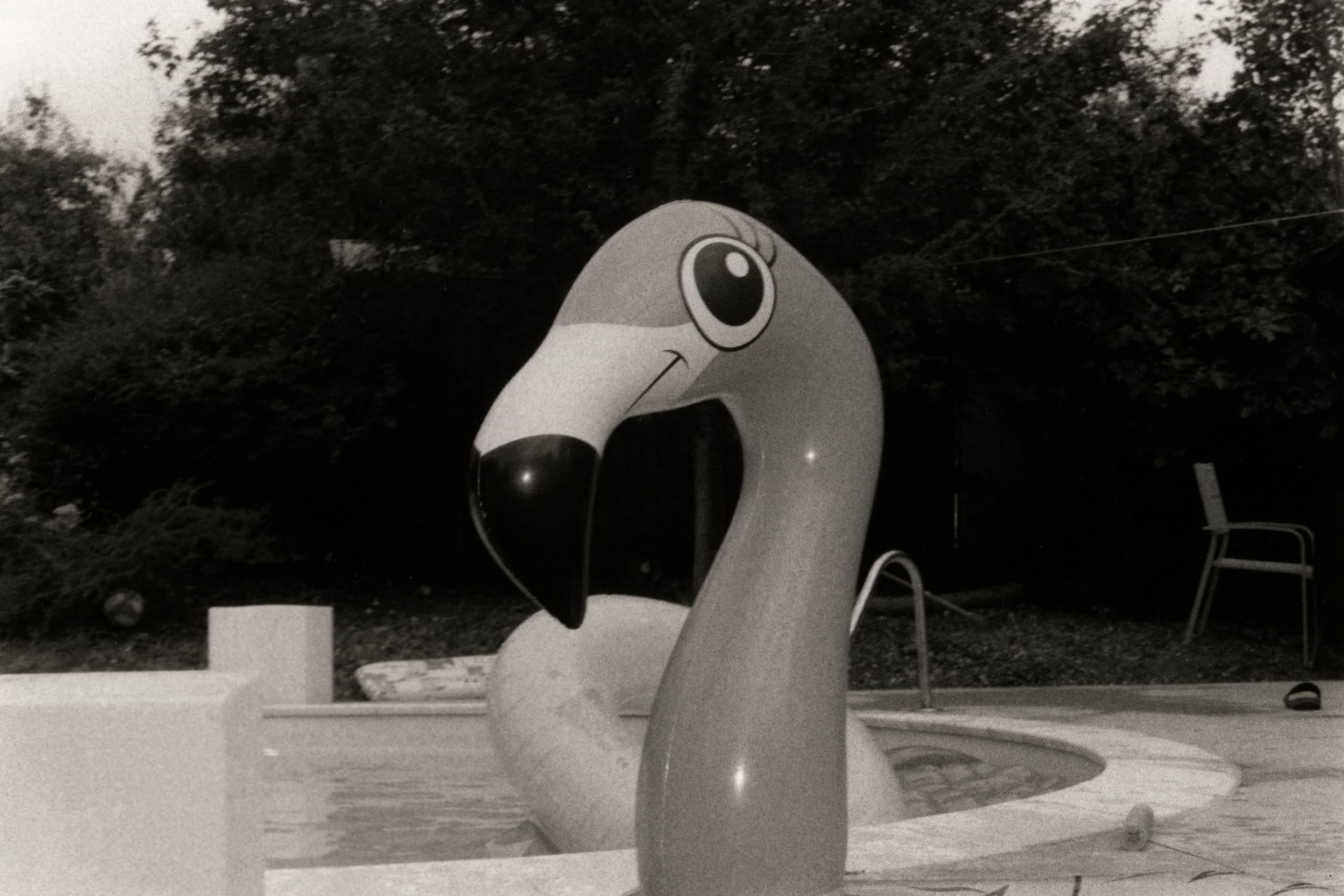 B&W-5.jpg