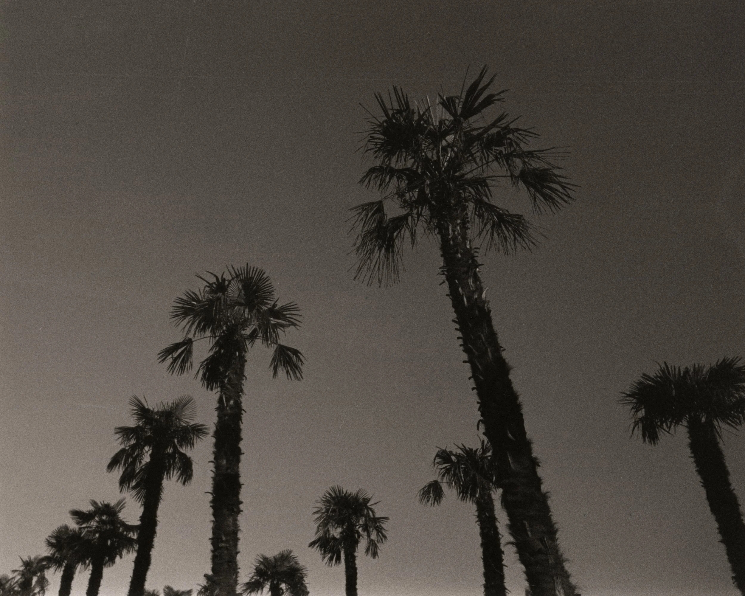 B&W-8.jpg