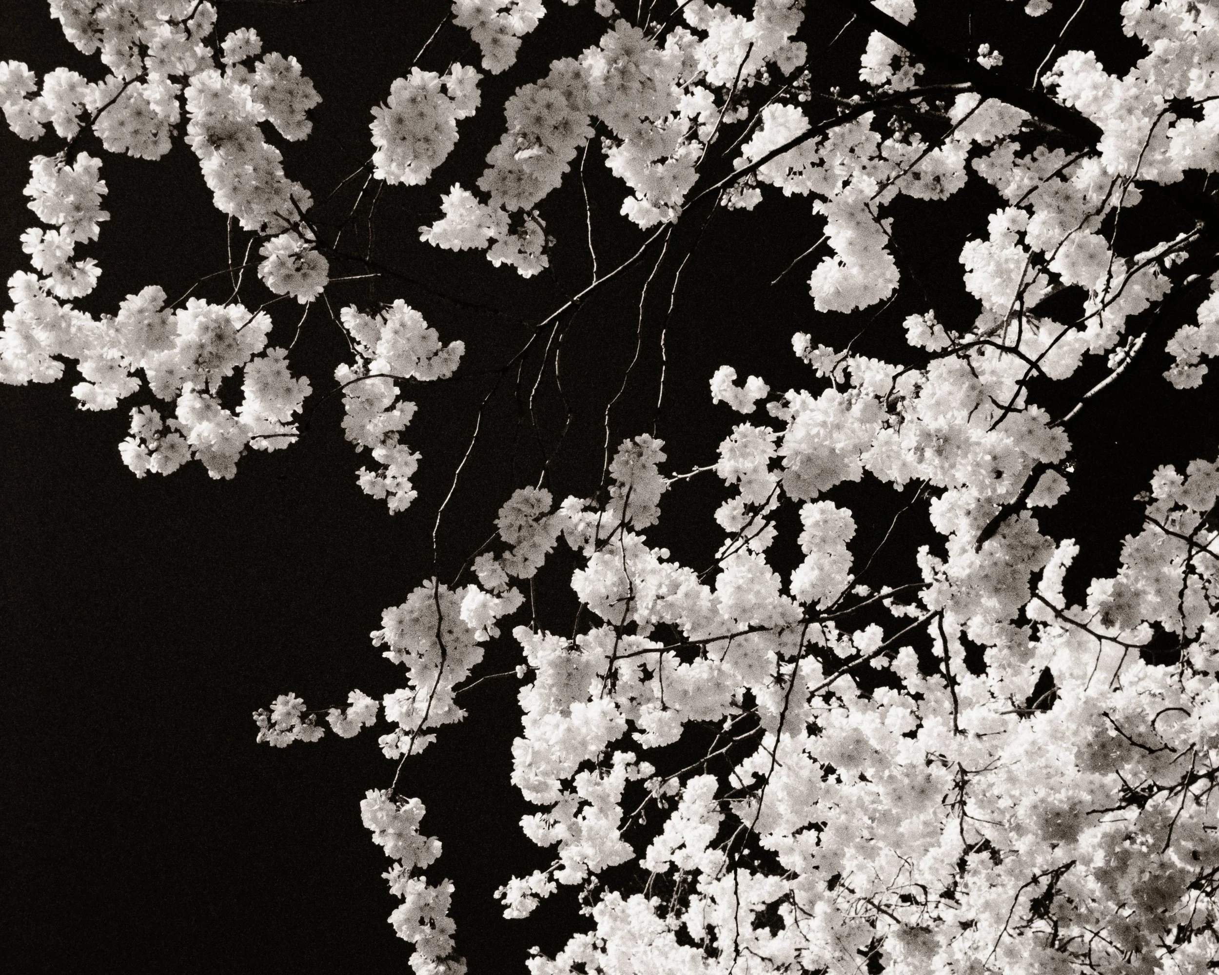 B&W-24.jpg