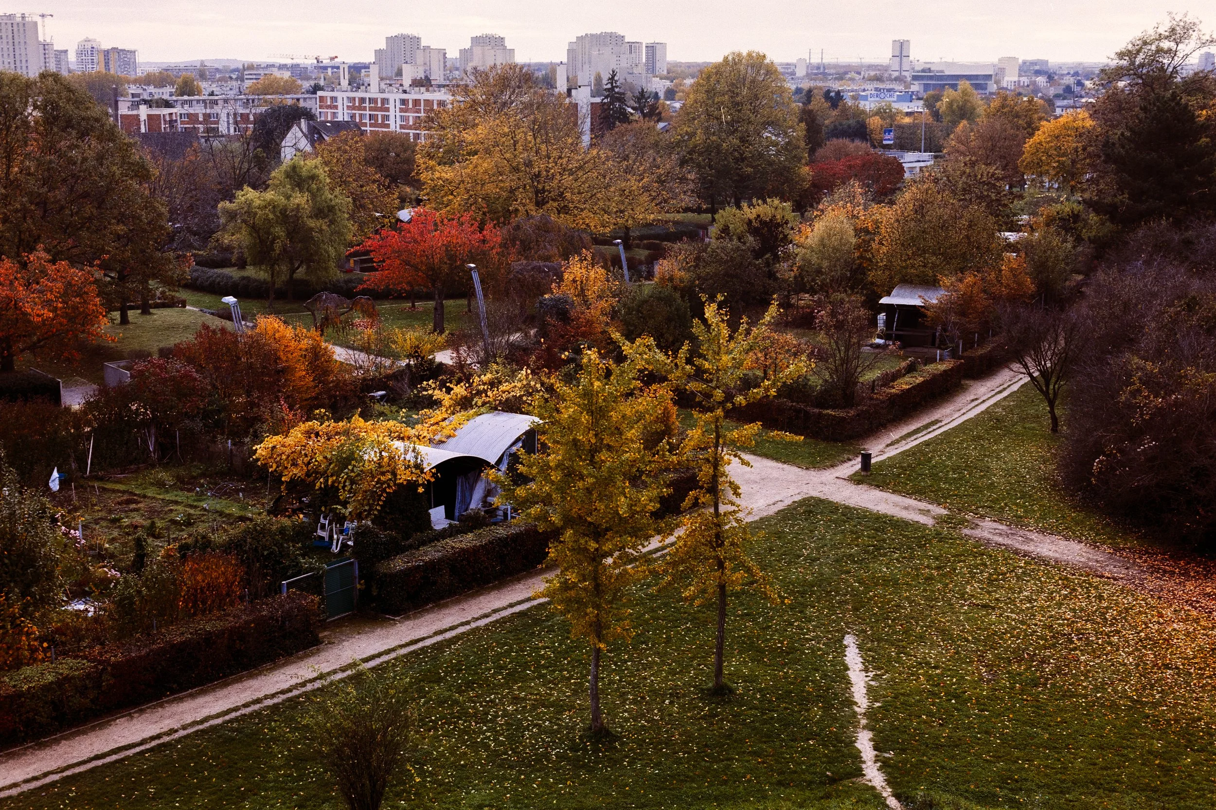 Urban-2.jpg
