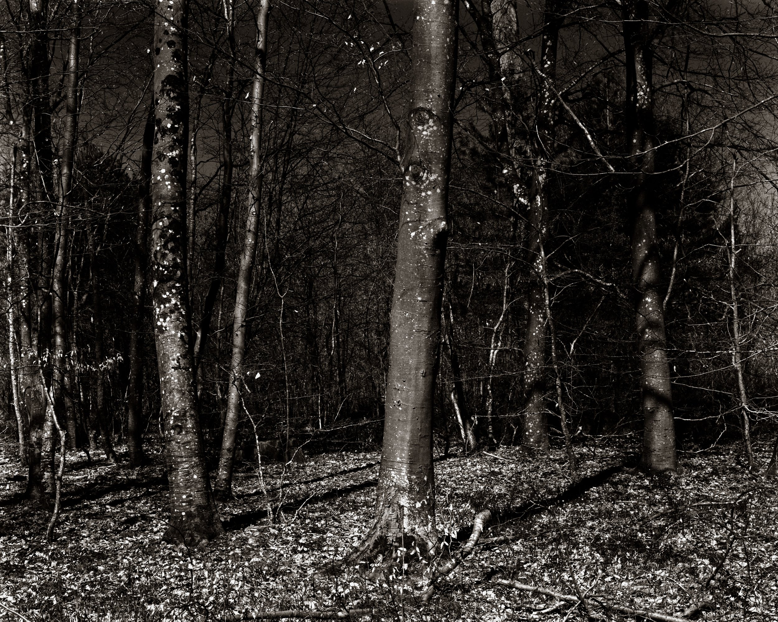 B&W-23.jpg