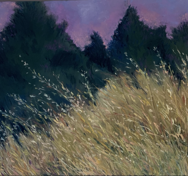 Donna Elizabeth Bero | Marin Open Studios