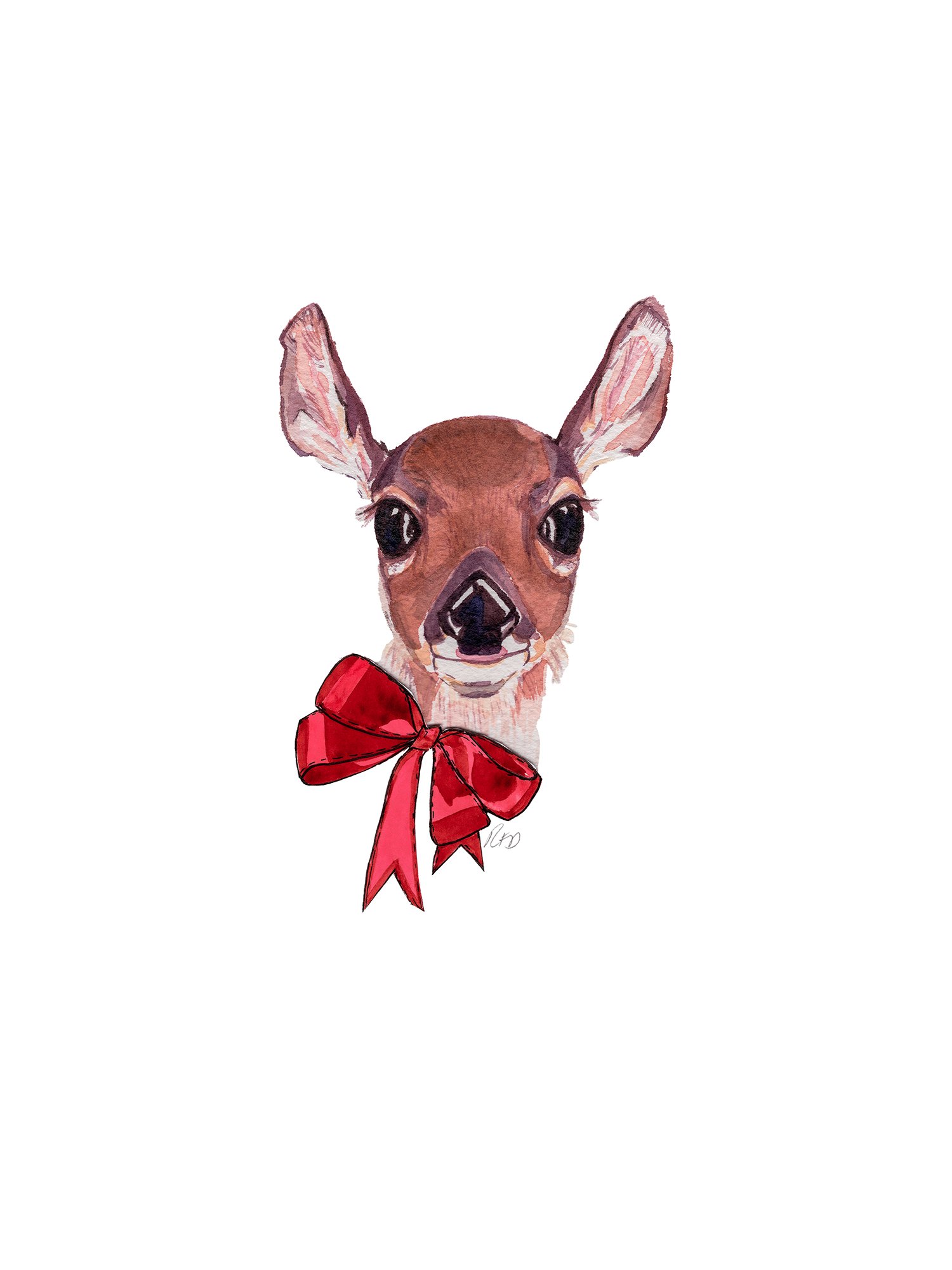 Fawn Web.jpg