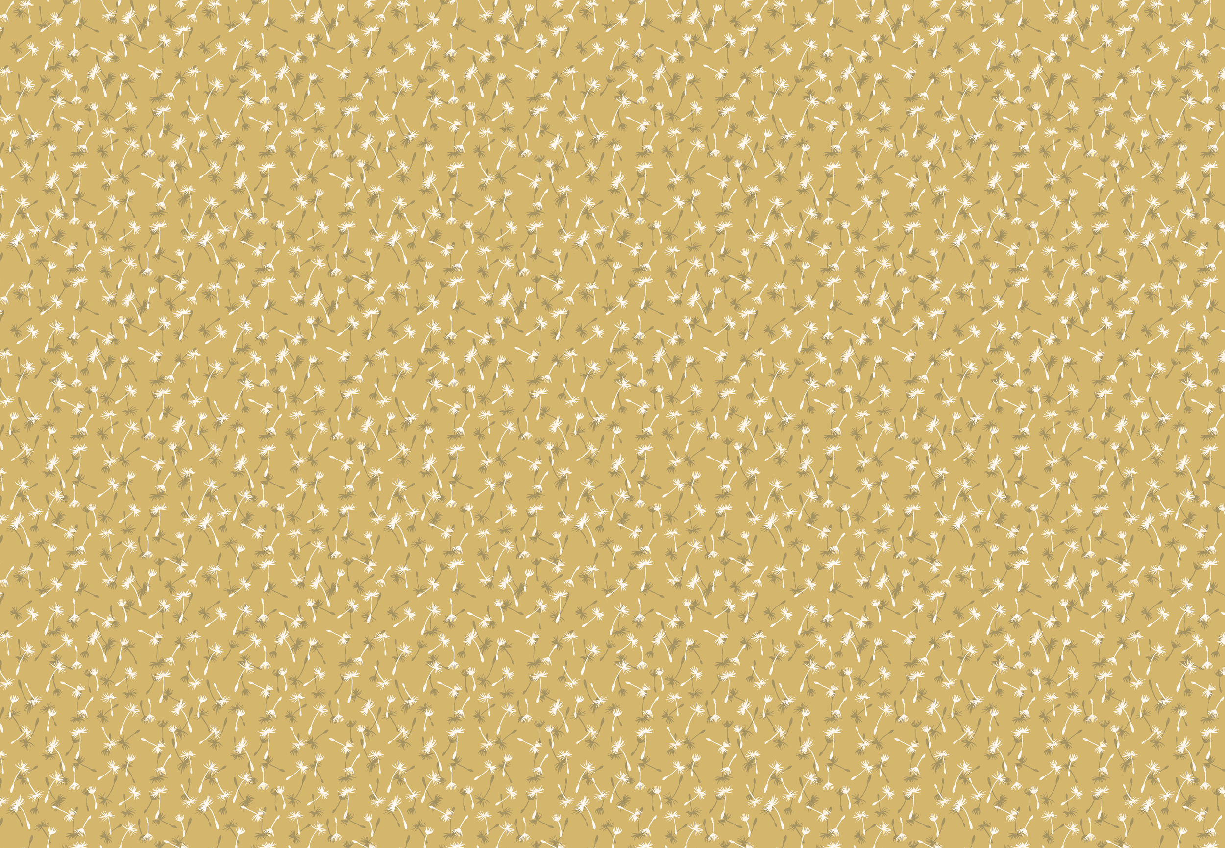 Where the Light Lands_RGB-25.png