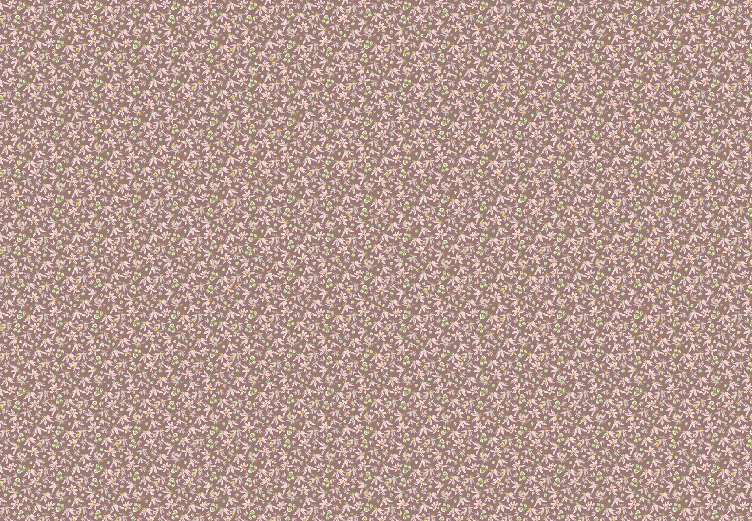 Where the Light Lands_RGB-23.png