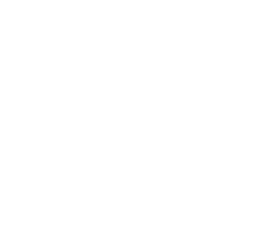 pictos-bekken-wit.png