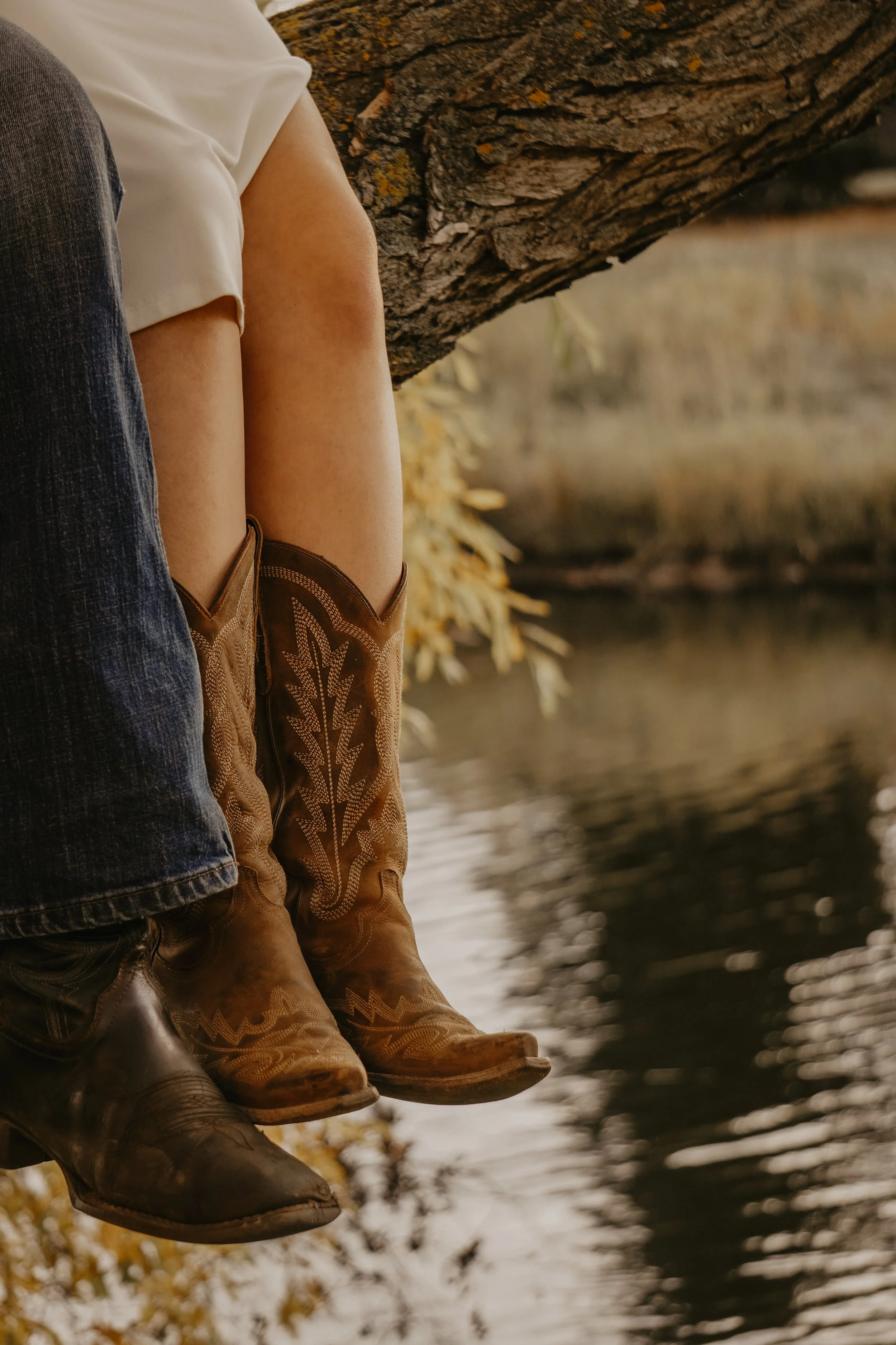 Close-up of two people sitting on a tree branch over water, wearing cowboy boots and jeans.