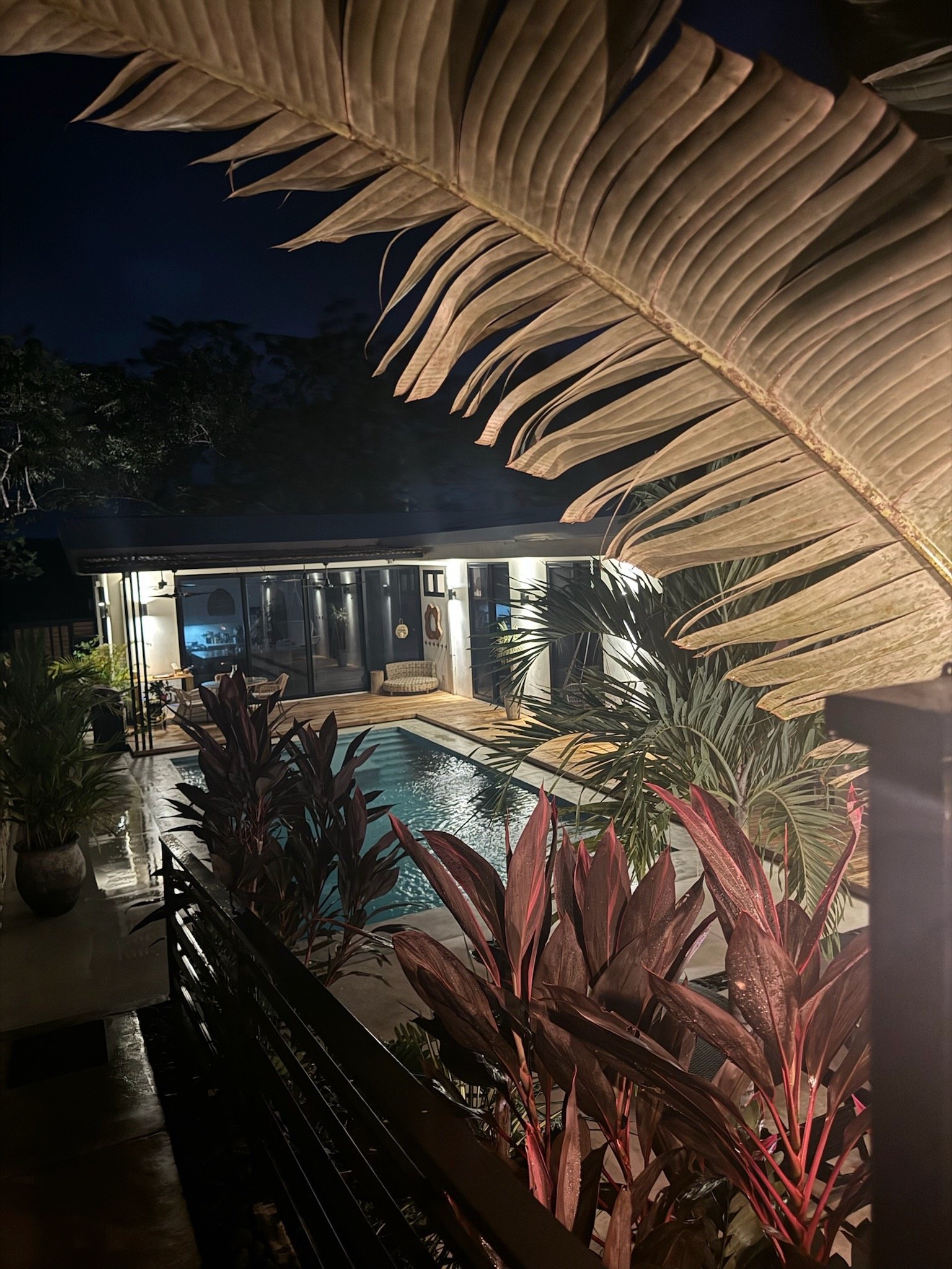 IMG_4062.jpeg