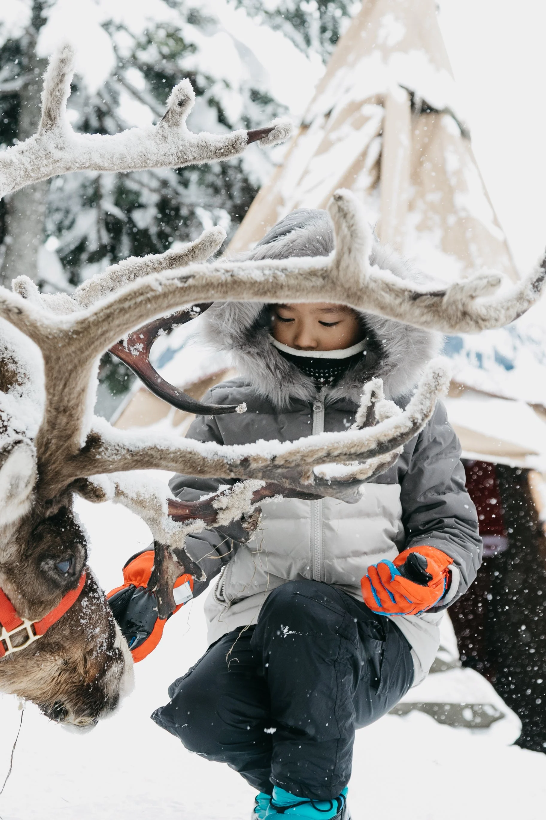 doris_kurniawan-niseko_hokkaido-s1_1.jpg