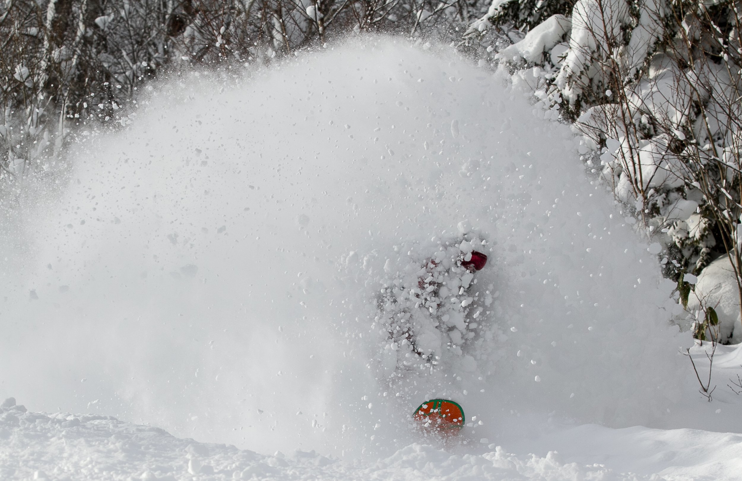 20141215_Niseko_Photography__MG_1575.jpg