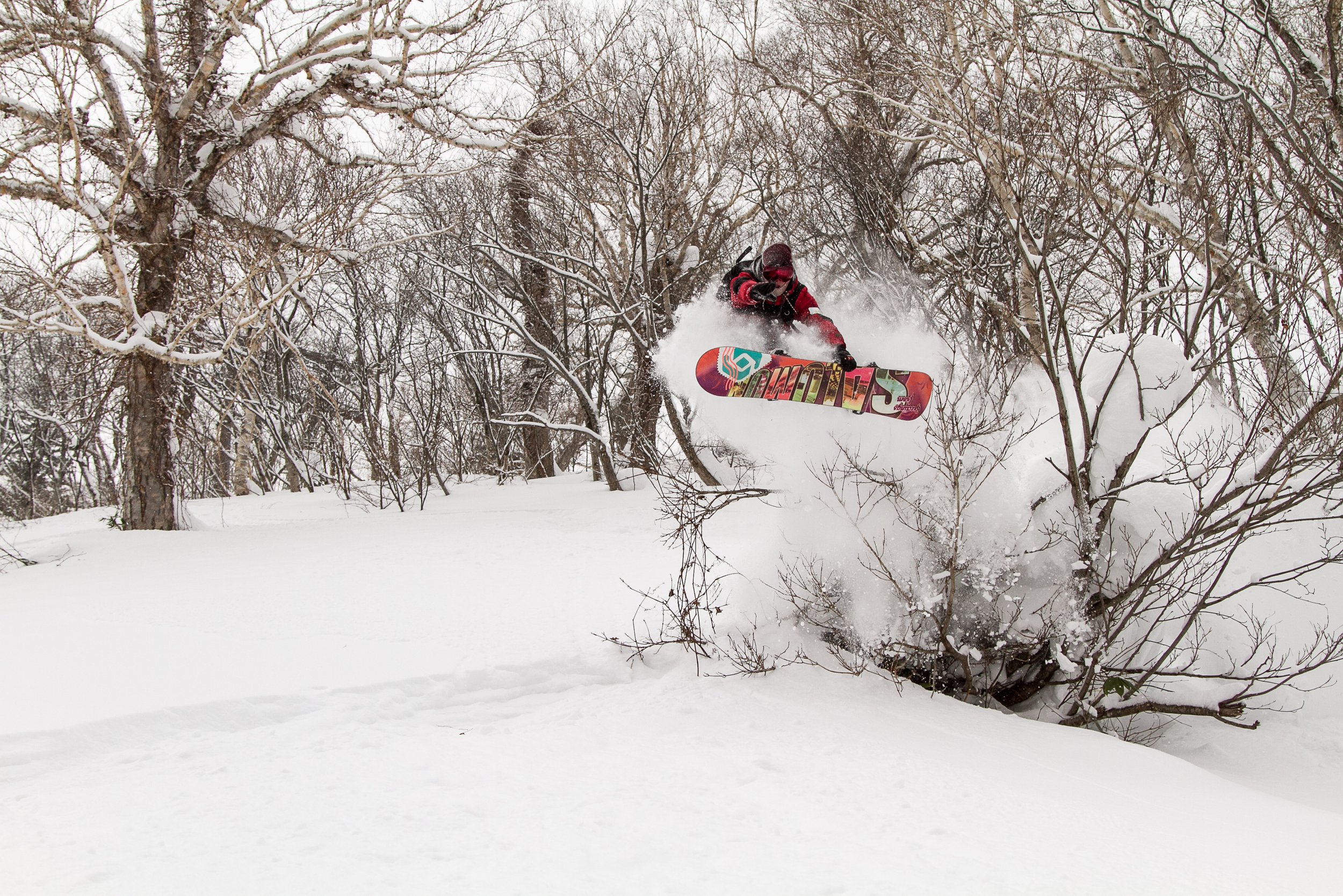 20141219_Niseko_Photography__MG_1938.jpg