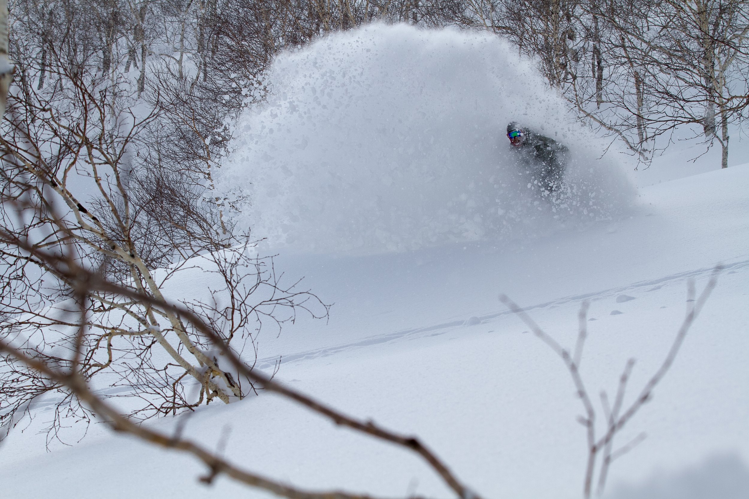 -20140311_Niseko_Photography_MG_6293.jpg