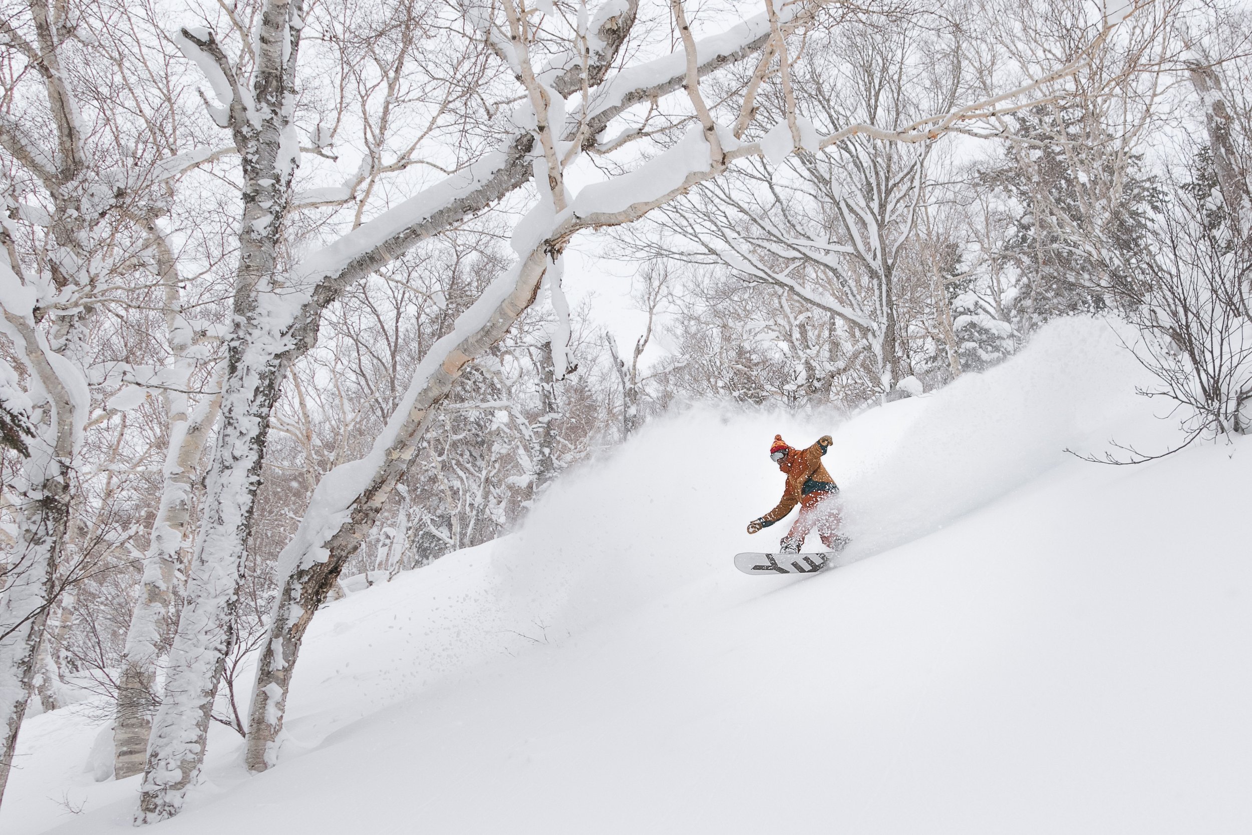 2018-CHAR2881-Niseko_Photography_CW.jpg