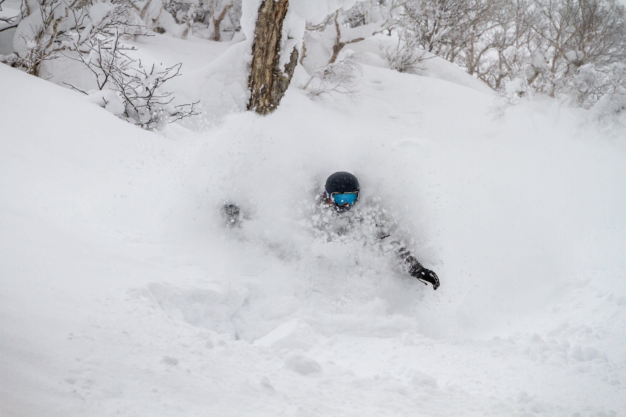 2019-IMG_6592-Niseko_Photography _PD.jpg