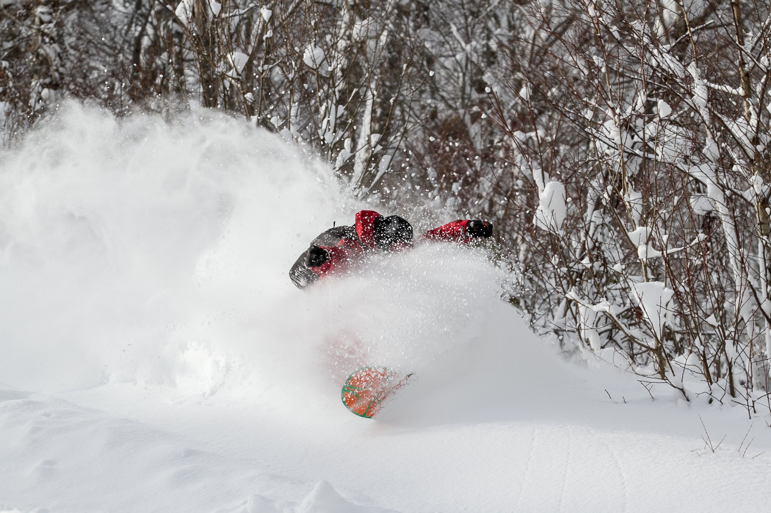 20141215_Niseko_Photography__MG_1568.jpg