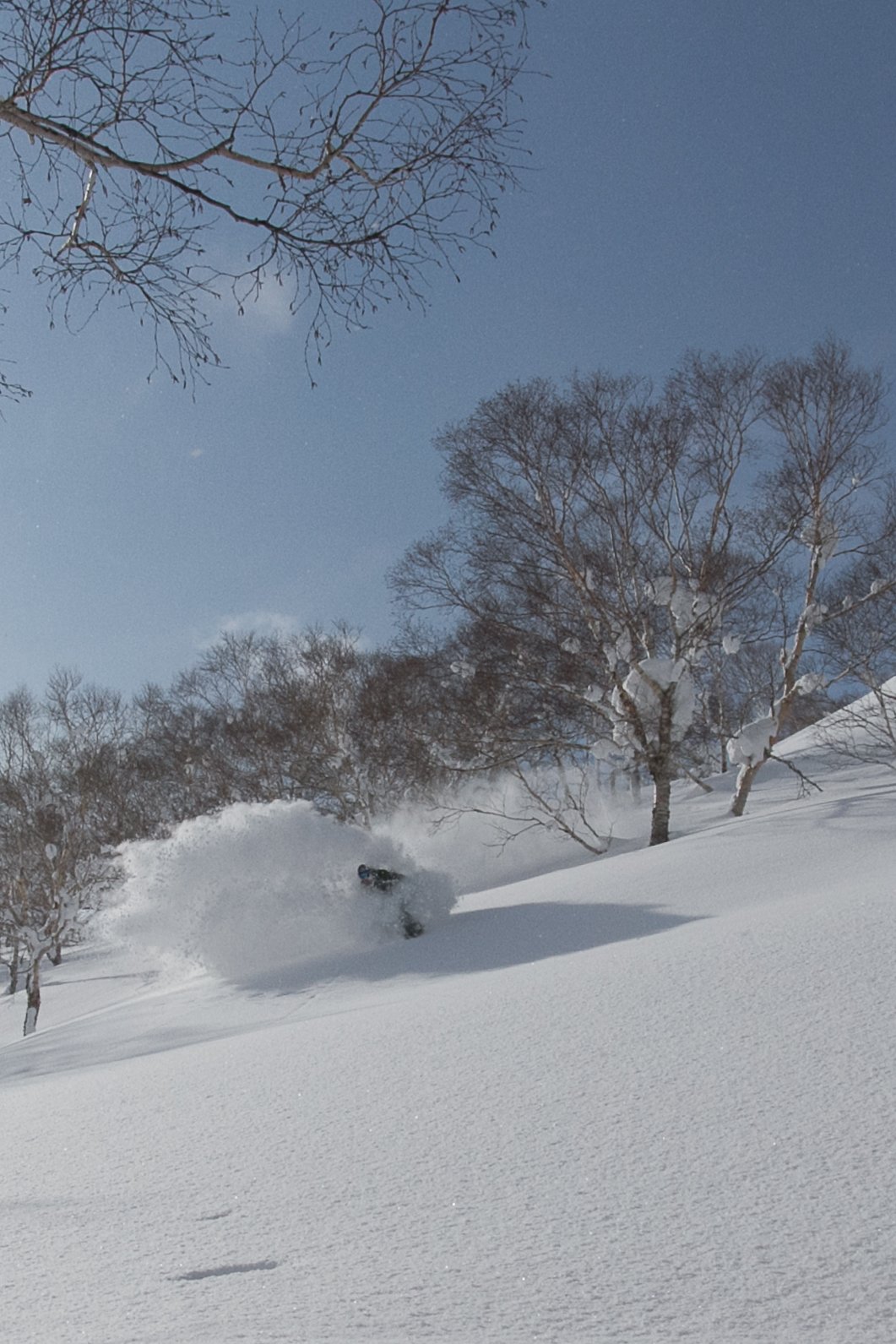 -20140311_Niseko_Photography_MG_6248.jpg