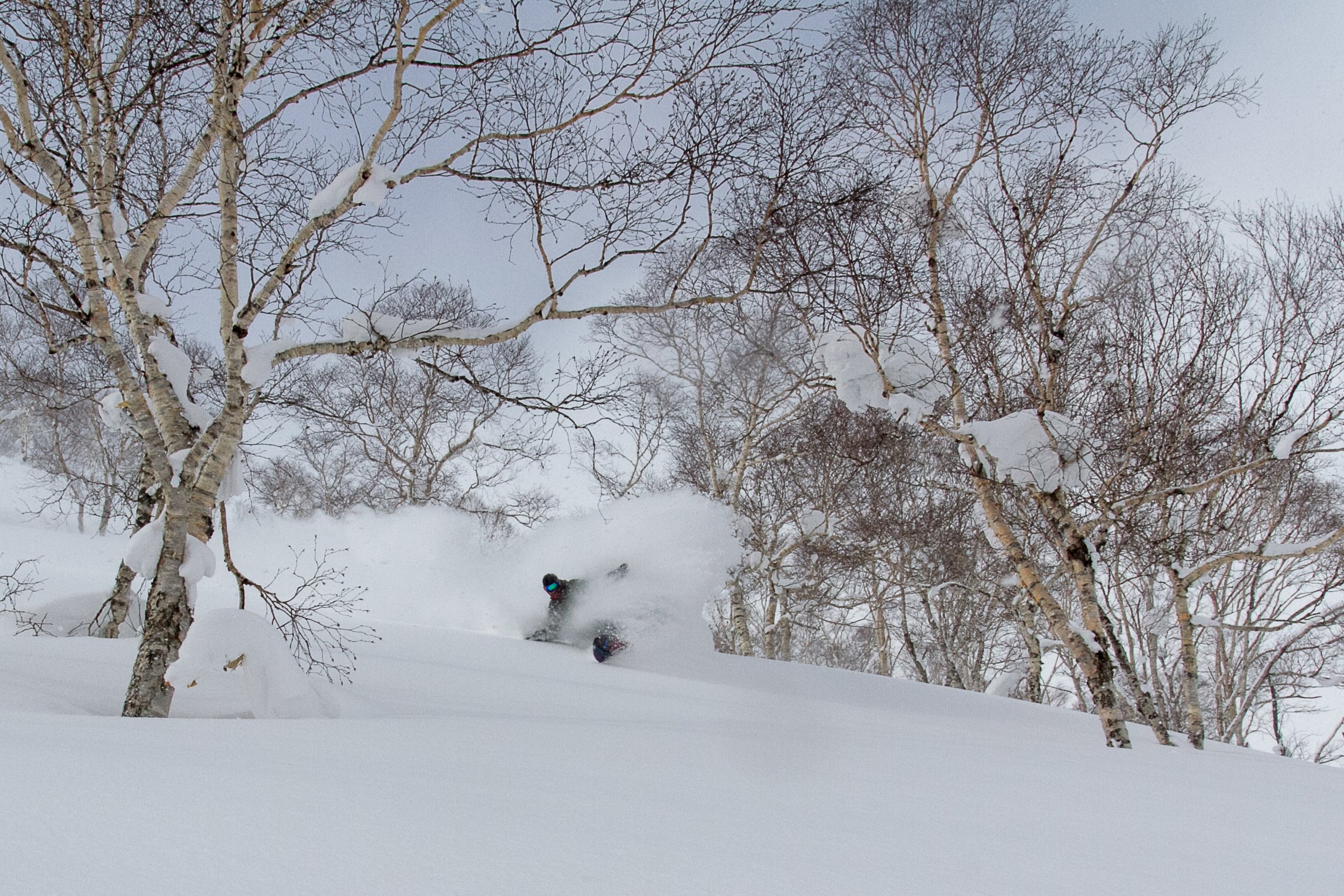 -20140311_Niseko_Photography_MG_6217.jpg