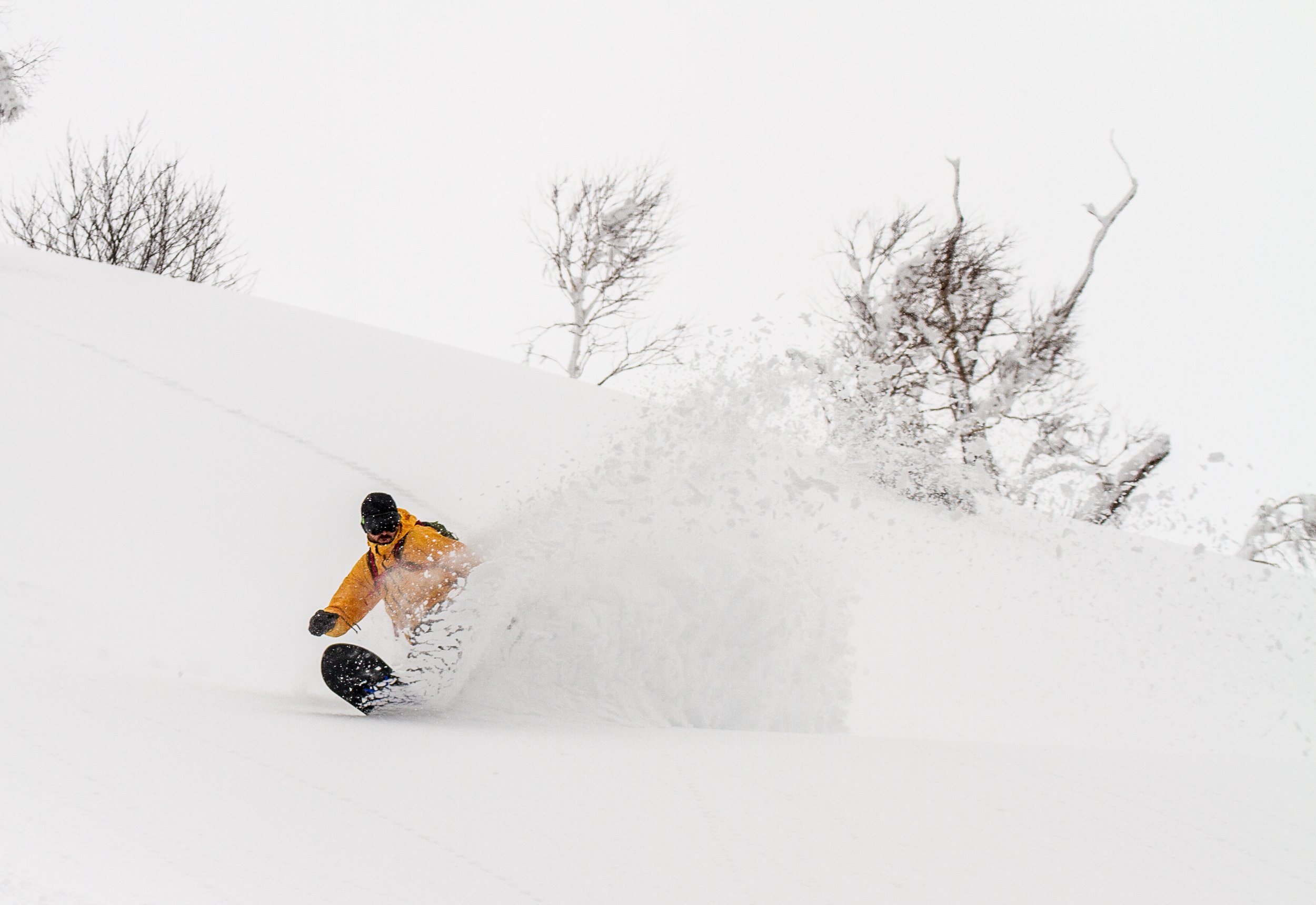 20150314_Niseko_Photography__MG_9413.jpg