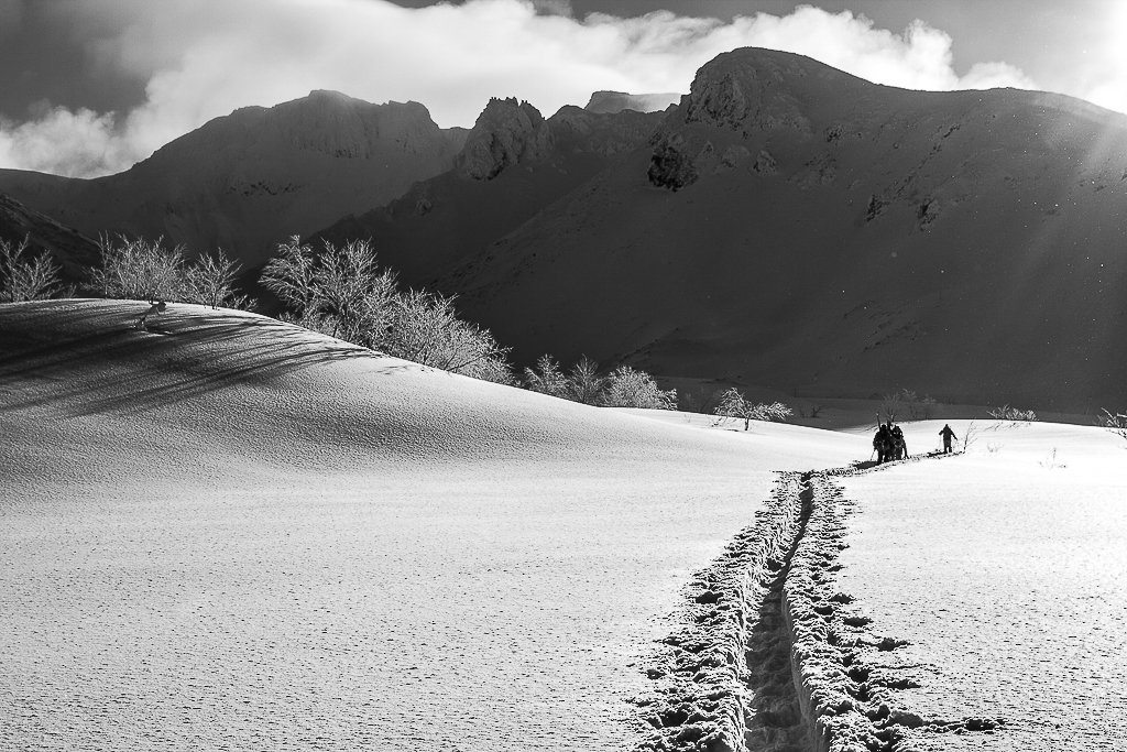-20130121_Niseko_Photography-20130121_Niseko_Photography_MG_6854.jpg