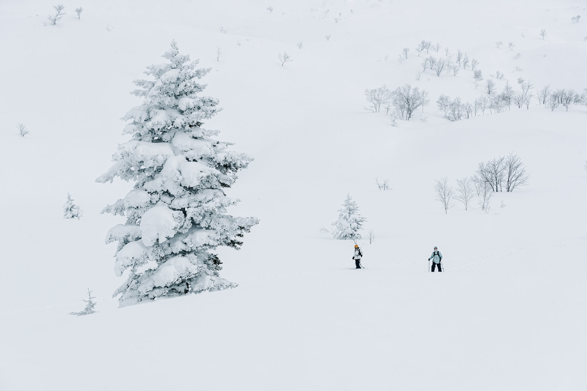 230219-Niseko-Photography-Elsie-3281-2.jpg