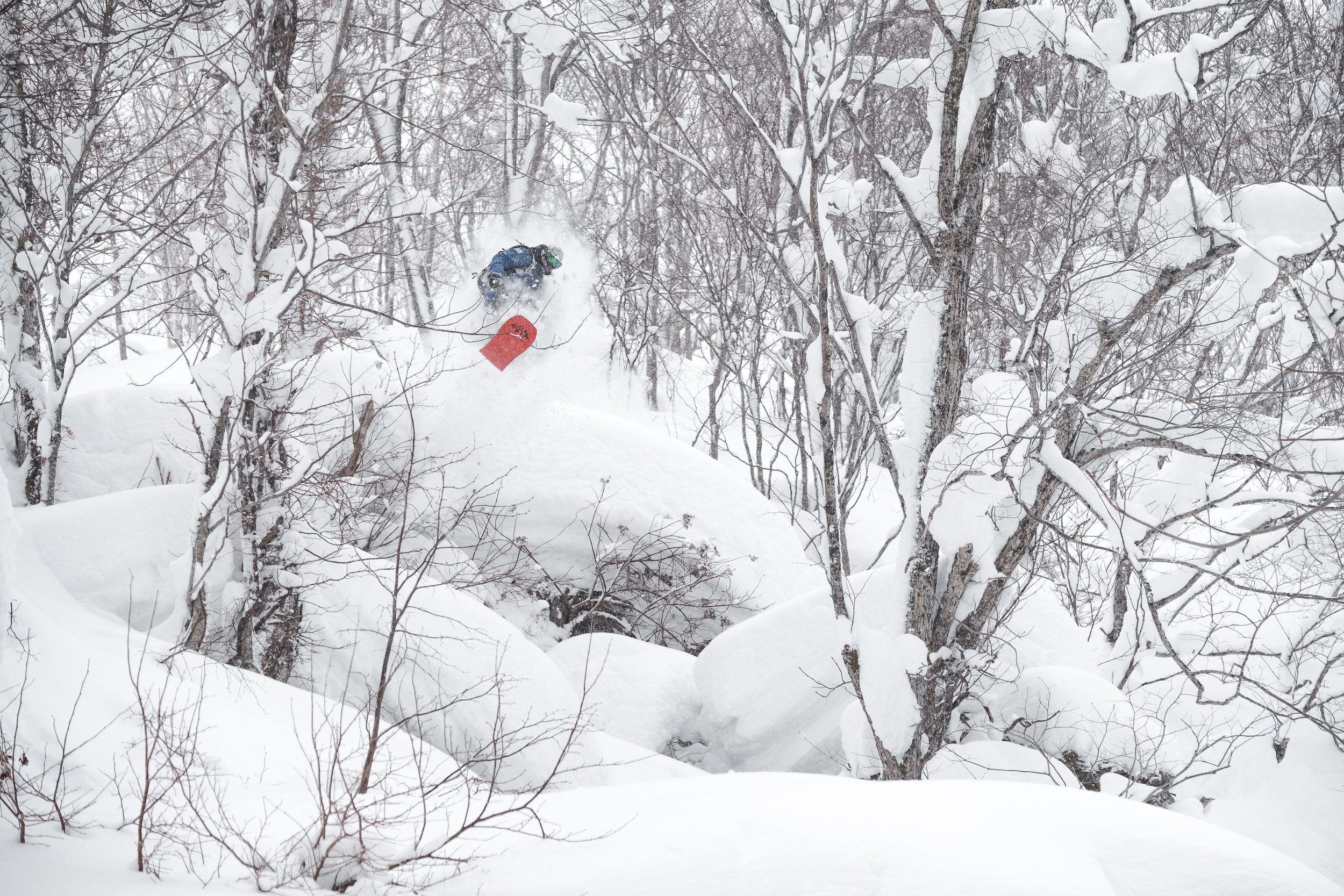 2018-DSCF8823-Niseko_Photography_BH.jpg