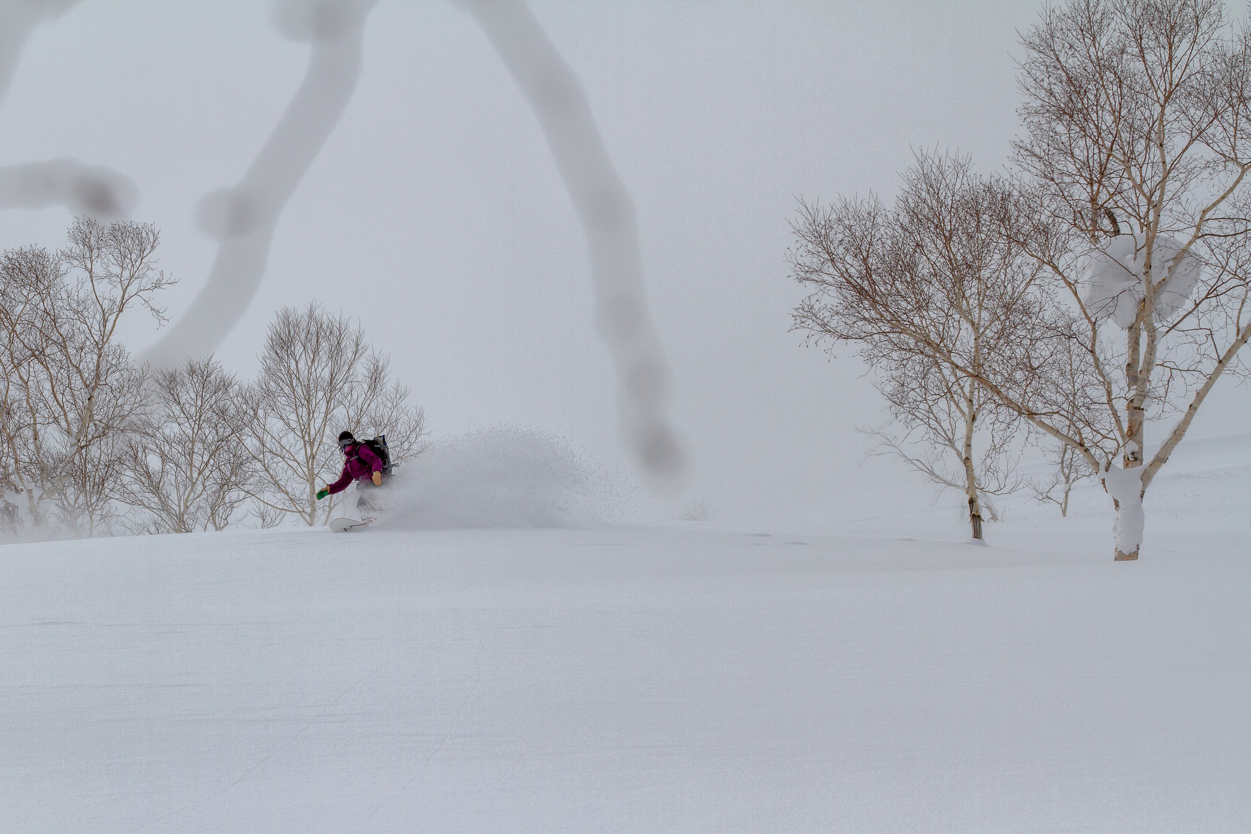 -20140311_Niseko_Photography_MG_6089.jpg