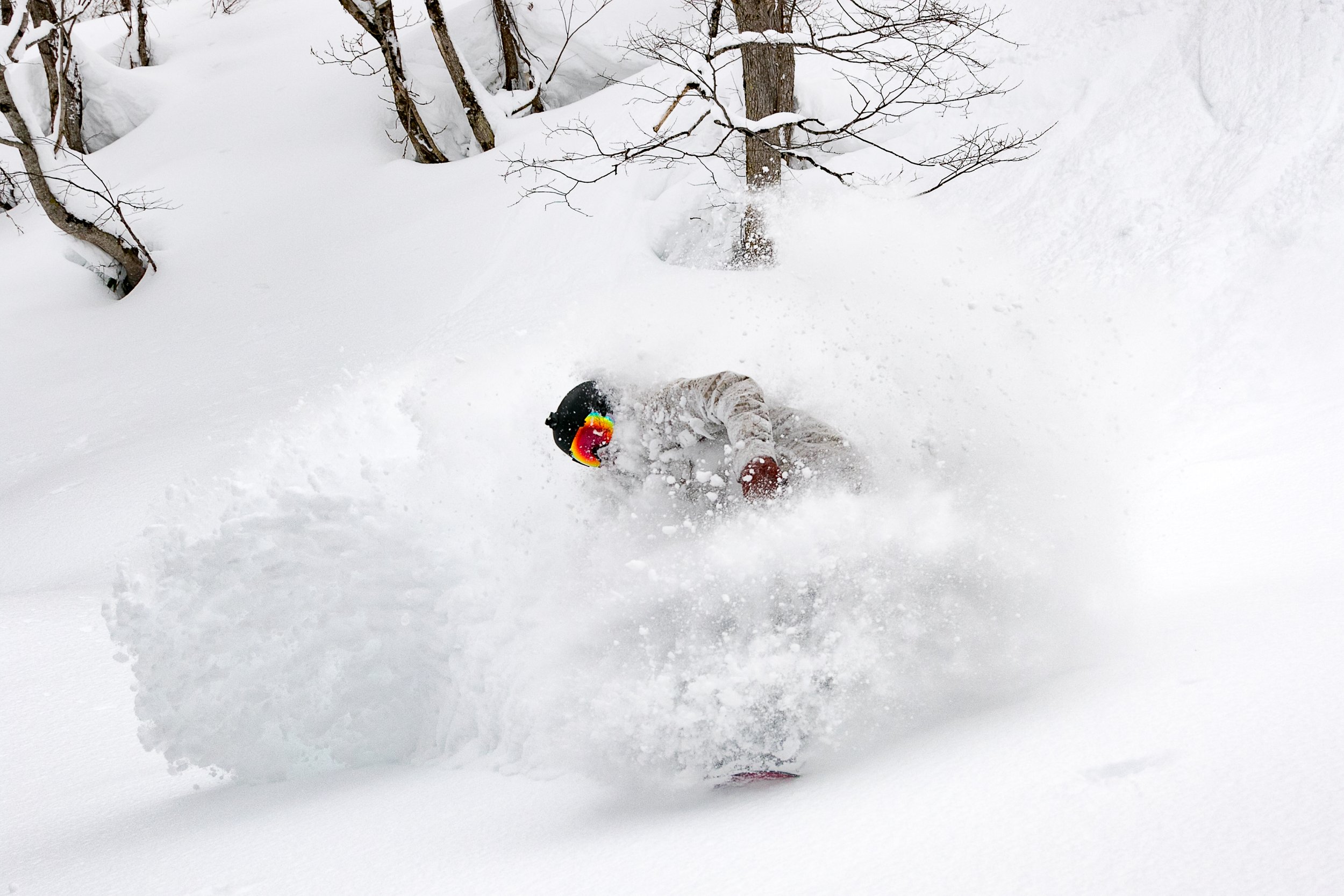 2018-CHAR4632-Niseko_Photography_CW.jpg