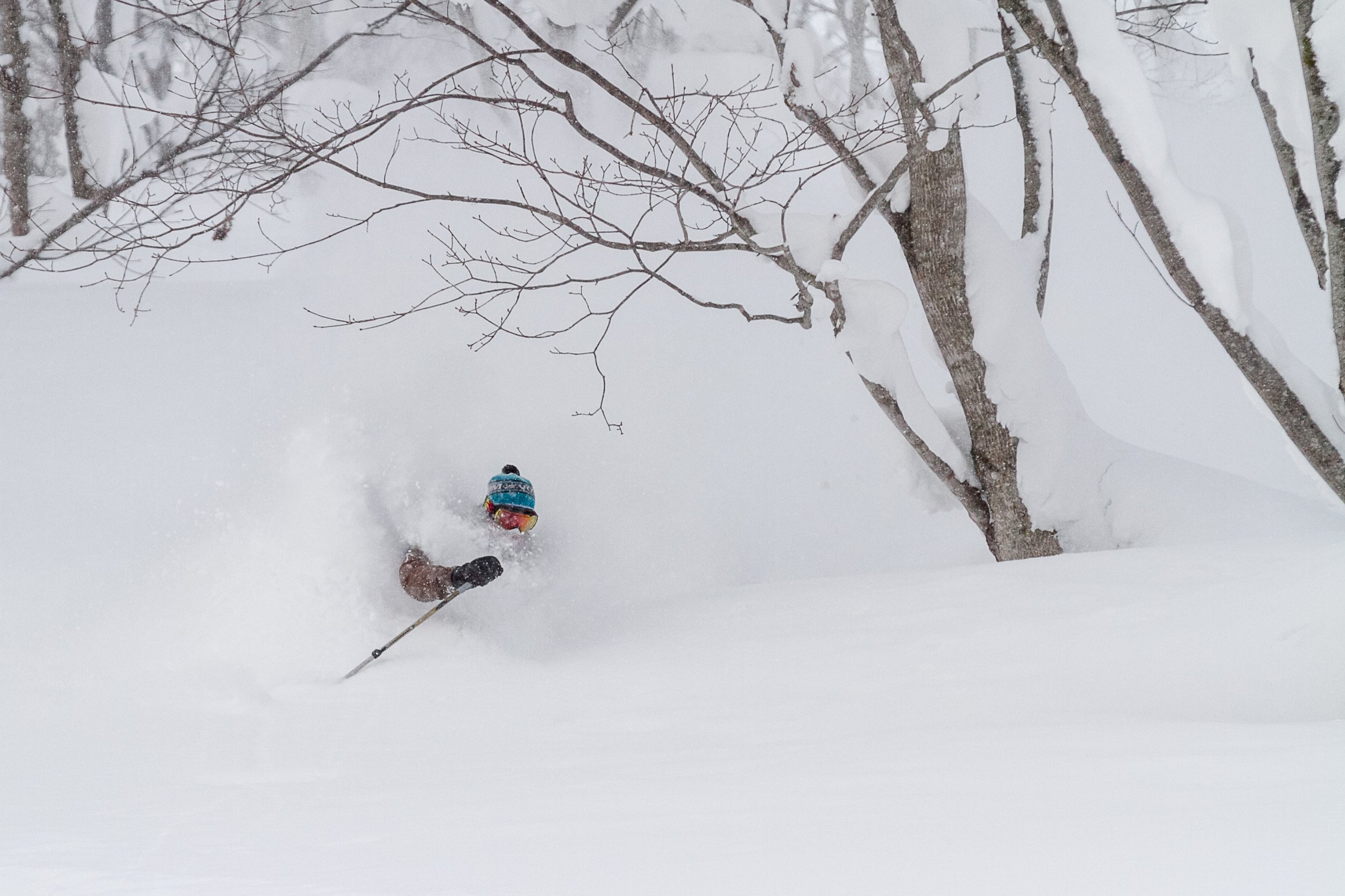 20130106-20130106_Niseko_Photography__MG_9028-Niseko_Photography_DT.jpg