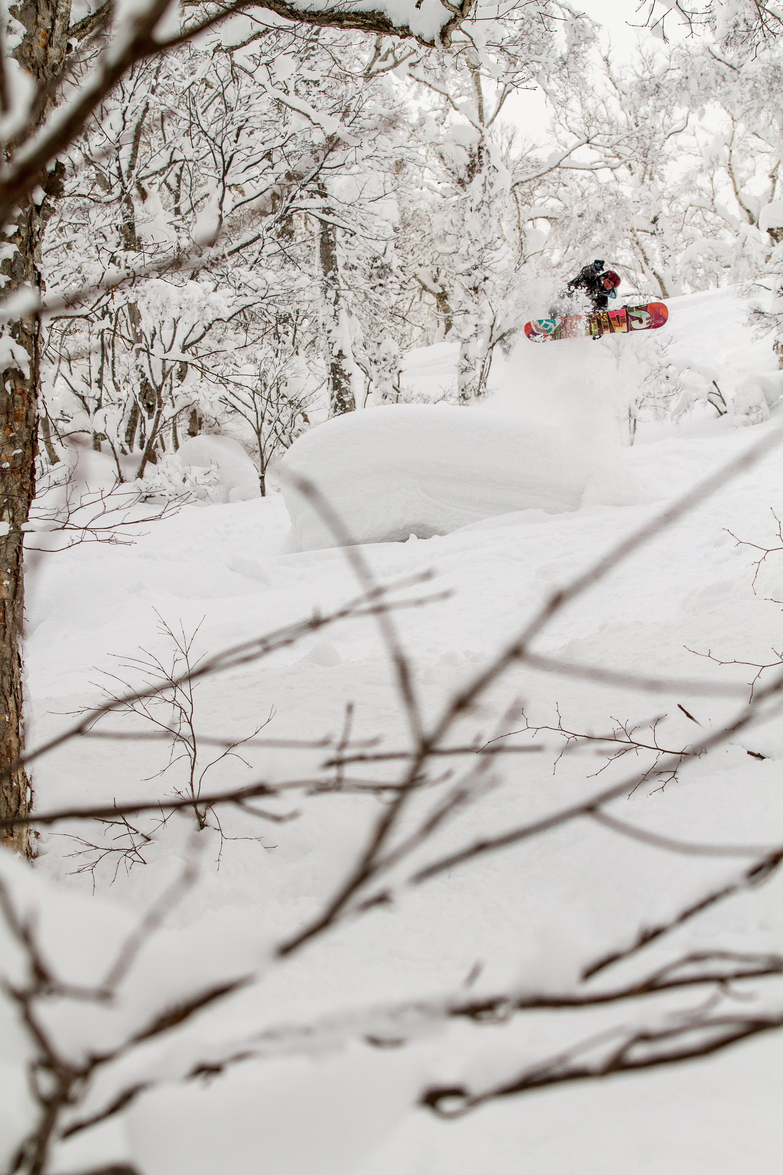 20141225_Niseko_Photography__MG_3537.jpg