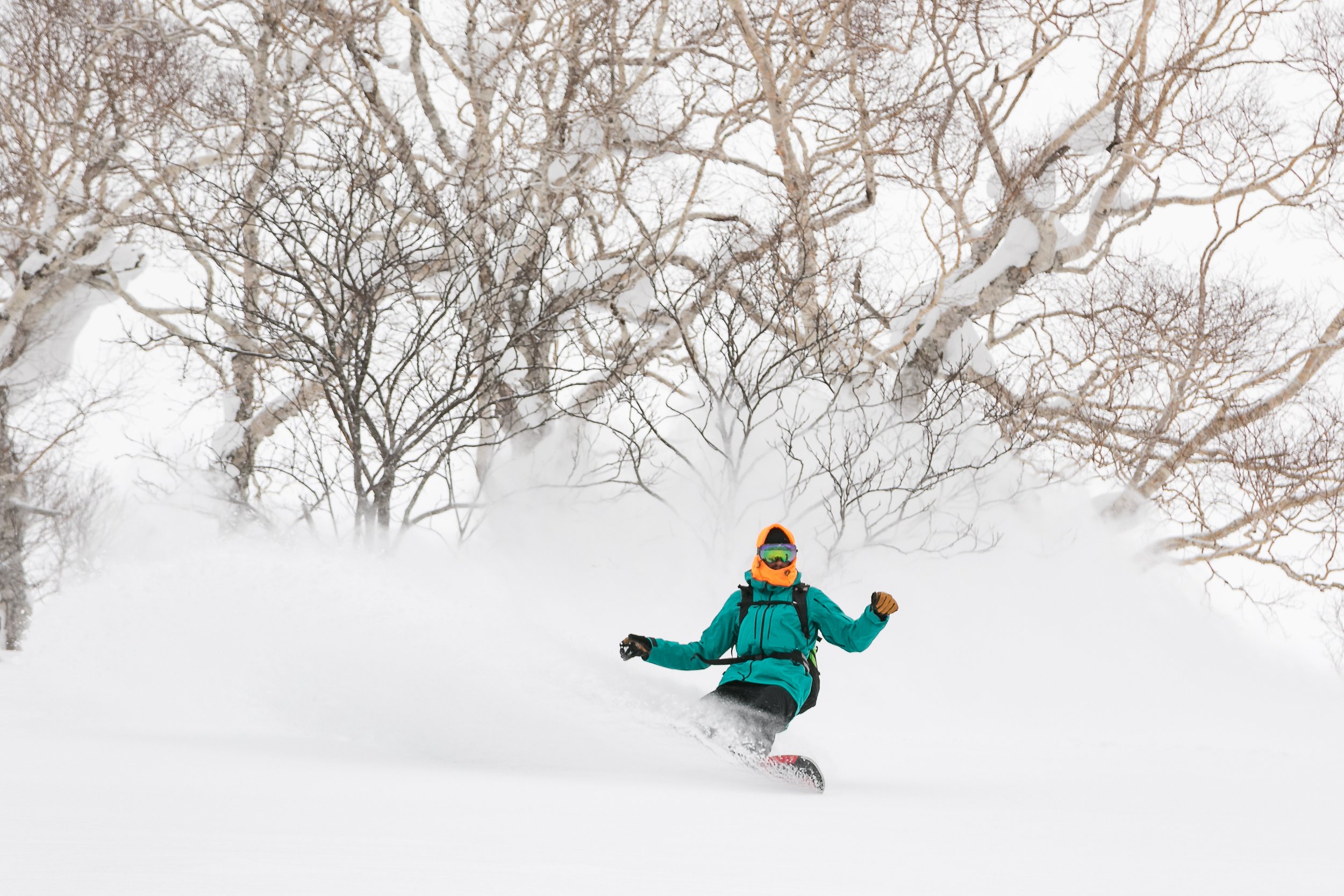 2018-CHAR0638-Niseko_Photography_CW.jpg