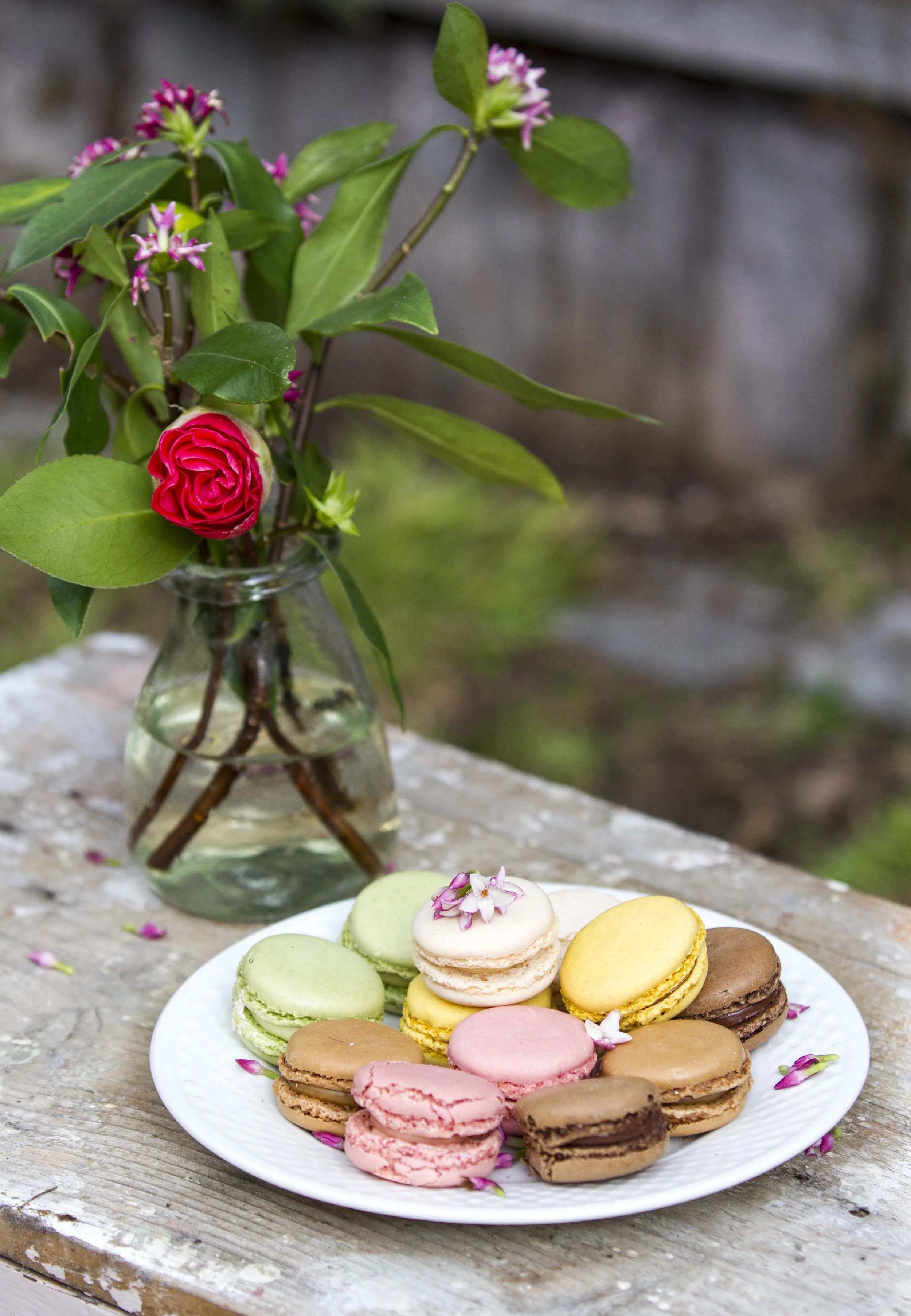 20150711-_MG_6277.jpg