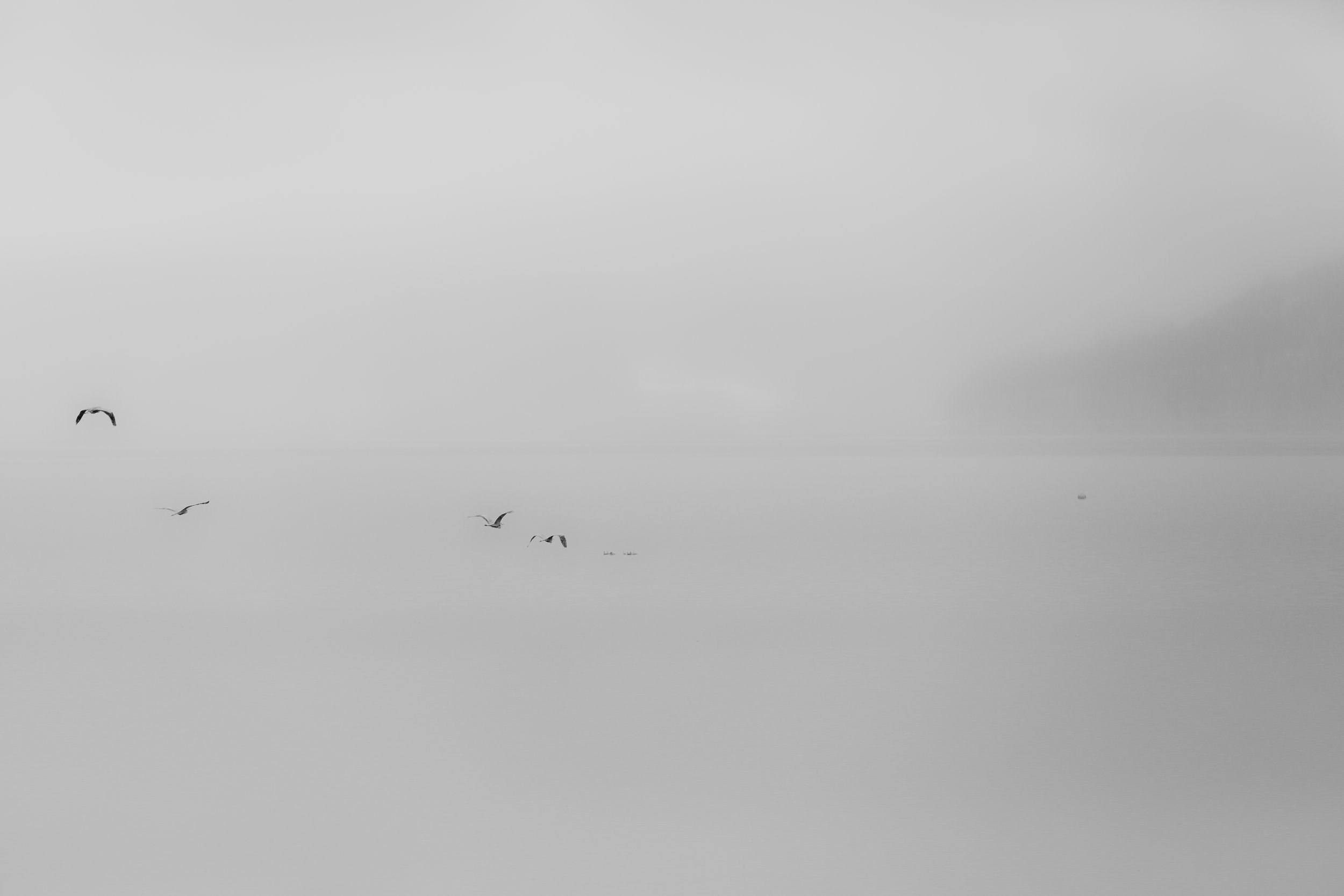 NisekoPhotographyAS-8942.jpg
