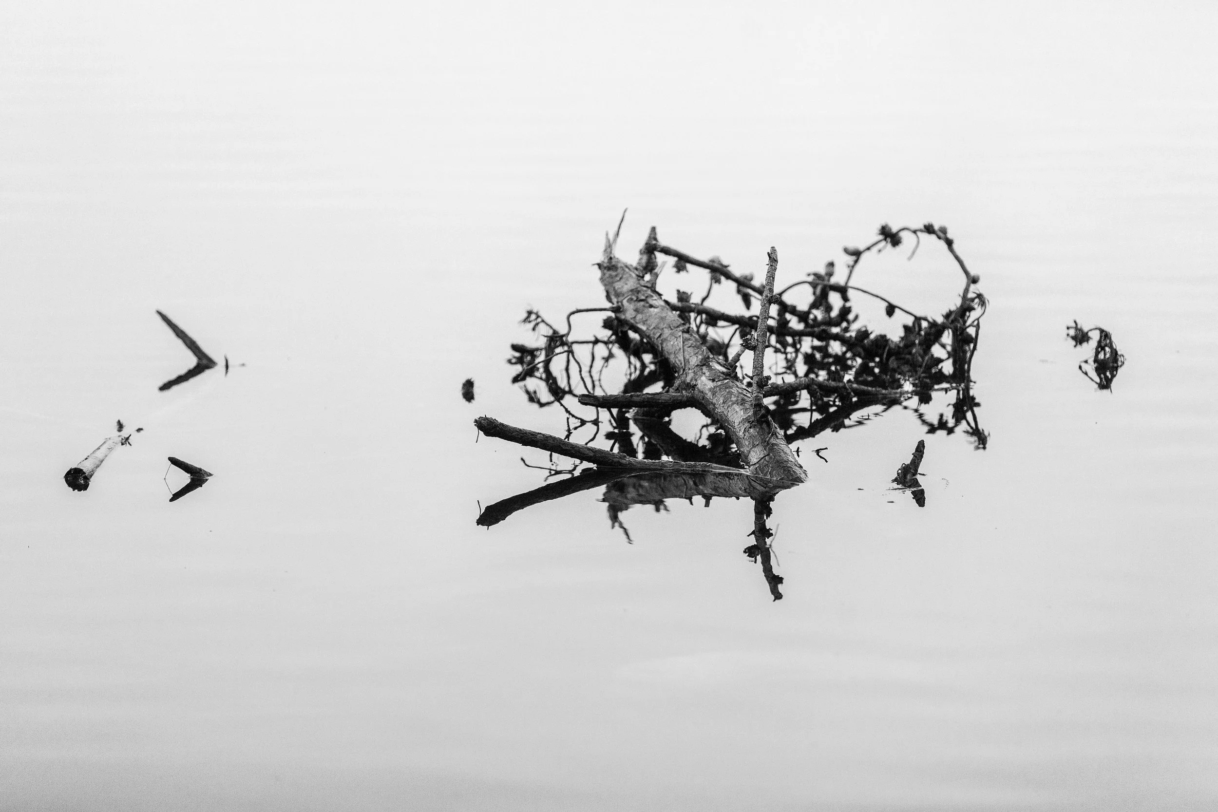 20140814-_MG_0812_Niseko_Photography_.jpg