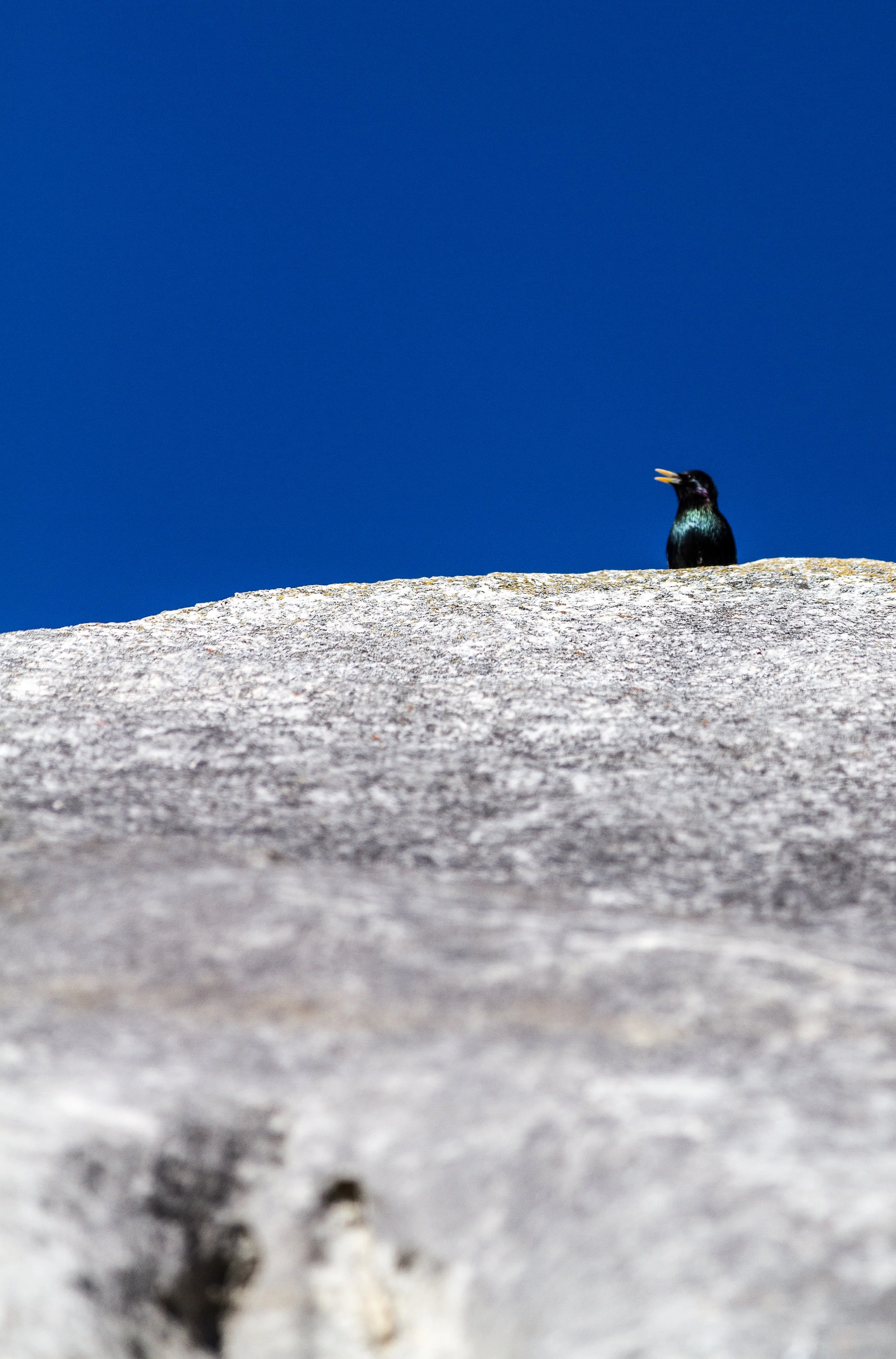 20140818-_MG_9580_Niseko_Photography_.jpg