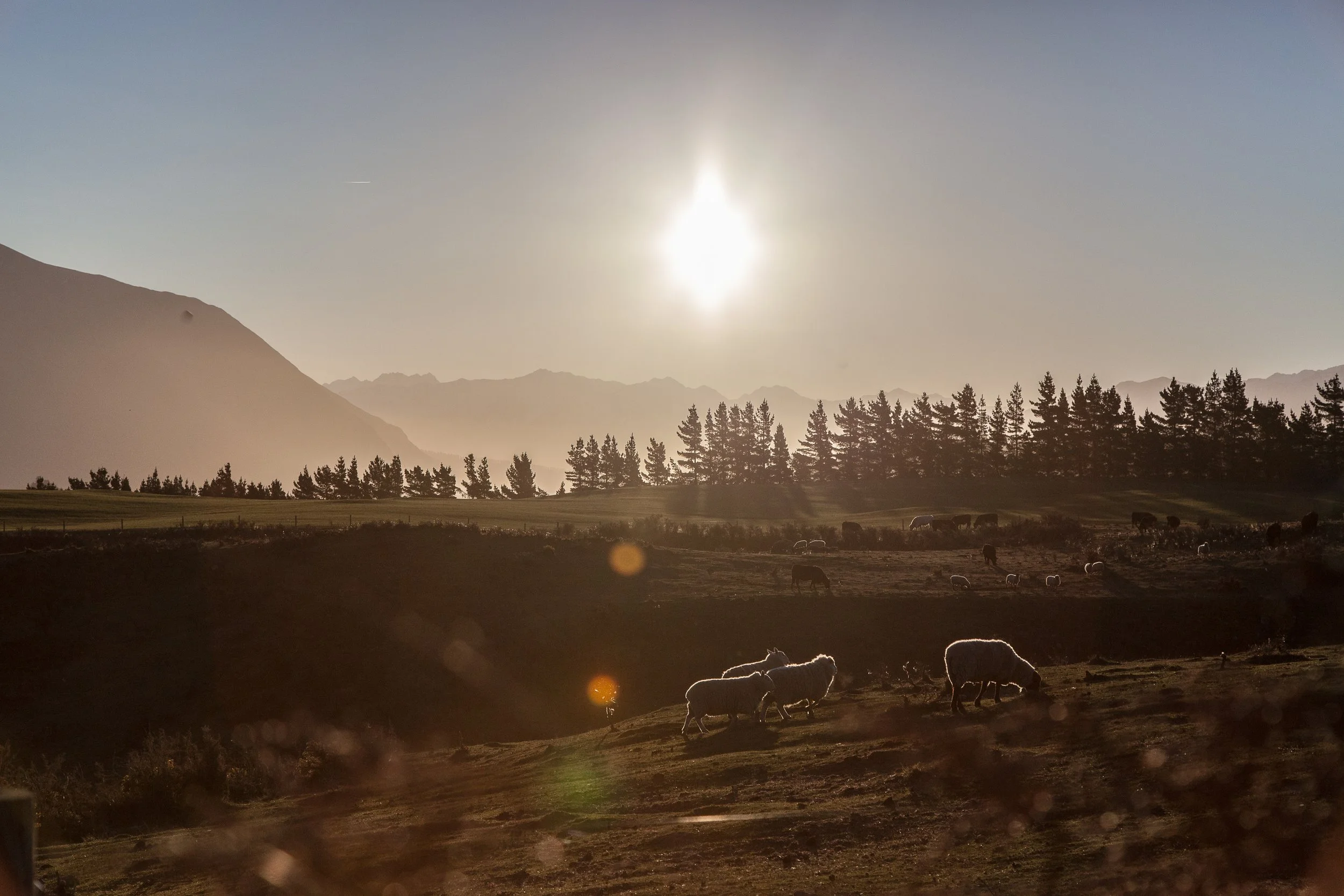 20140816-_MG_0844_Niseko_Photography_.jpg
